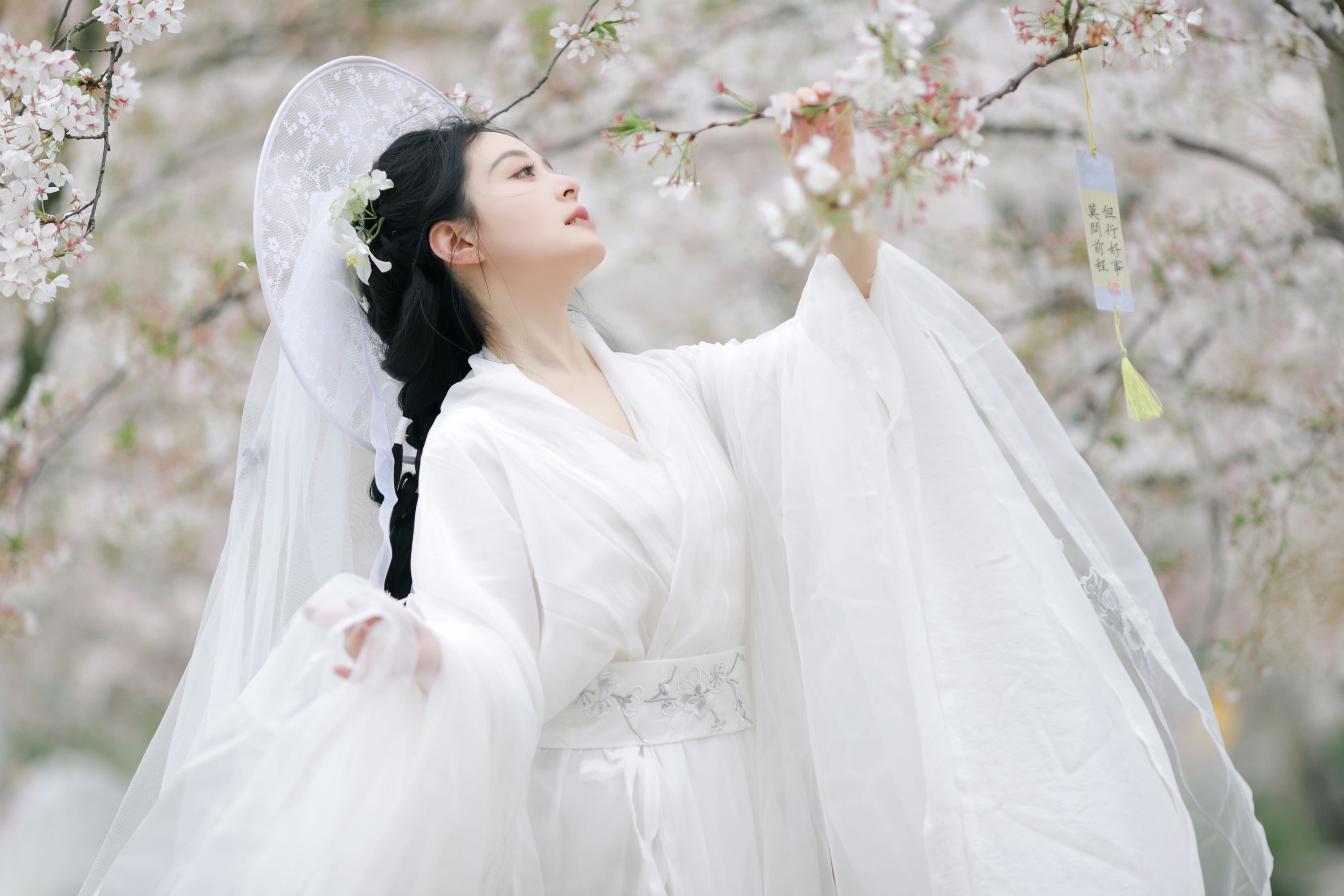 图片[3]-岁岁如意 – 《万物清明》[14P]-COS写真在线网
