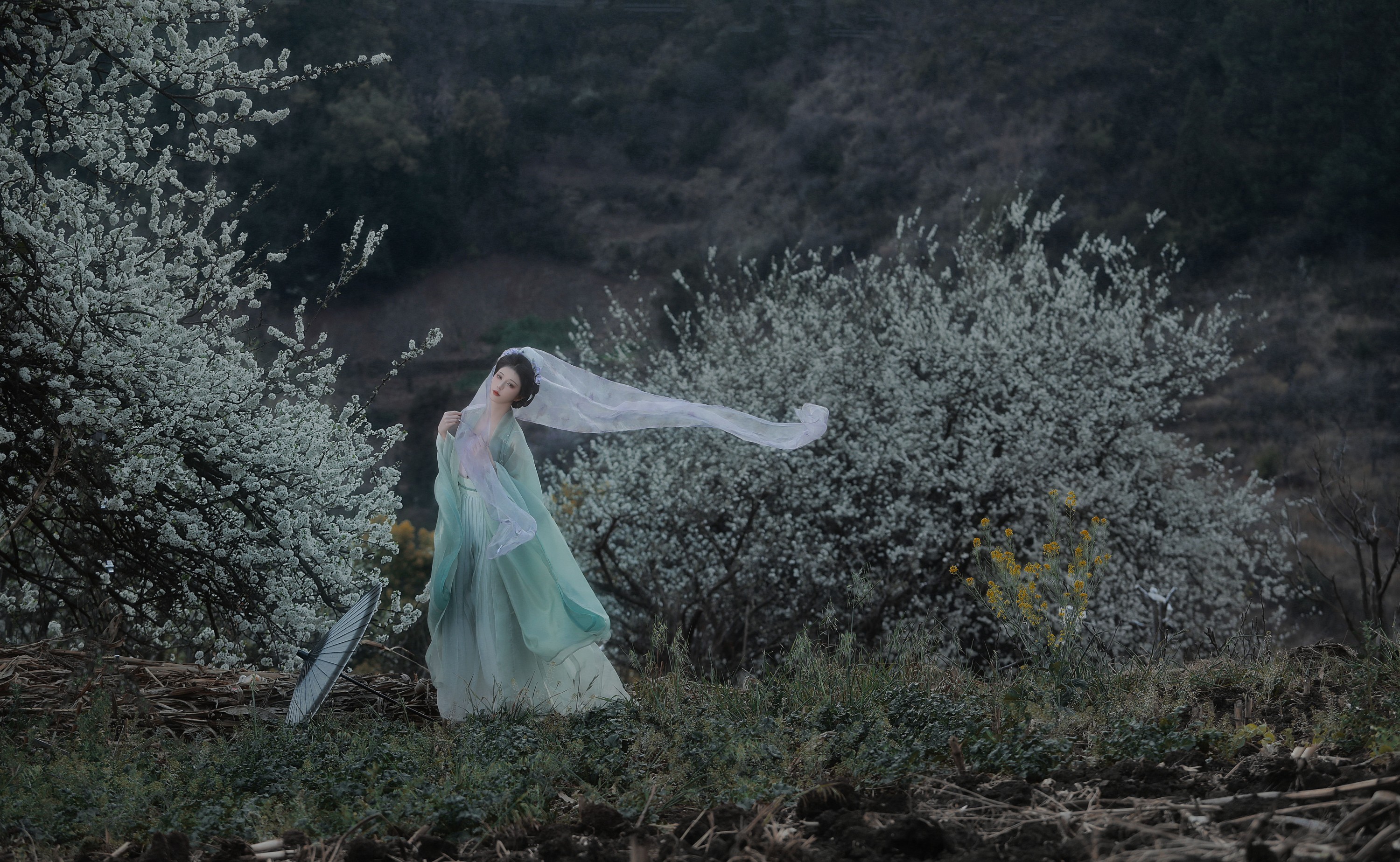 图片[6]-吾岁岁 – 《春山如黛草如烟》[22P]-COS写真在线网