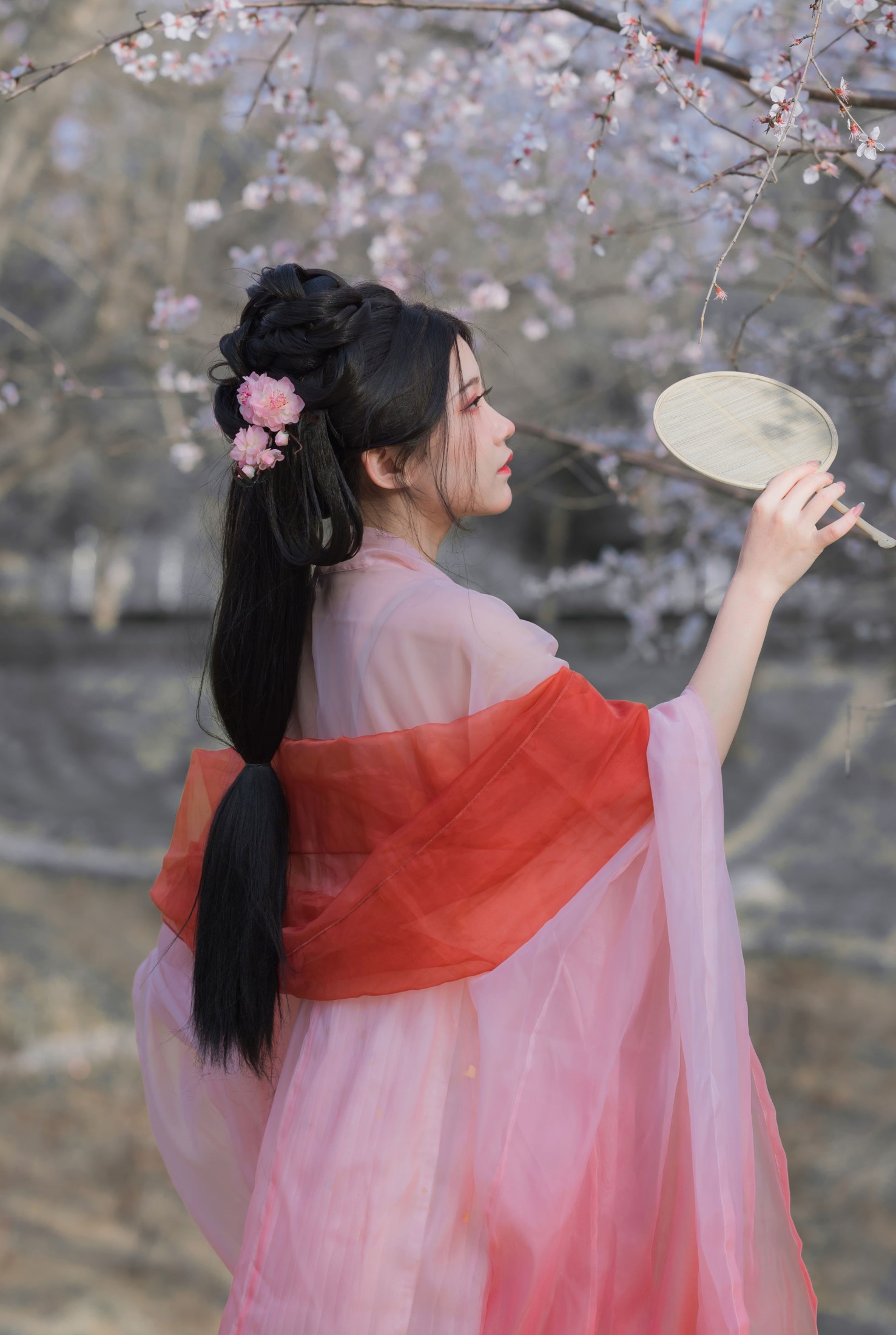 图片[5]-桂圆八宝粥 – 《桃花夭夭》[15P]-COS写真在线网