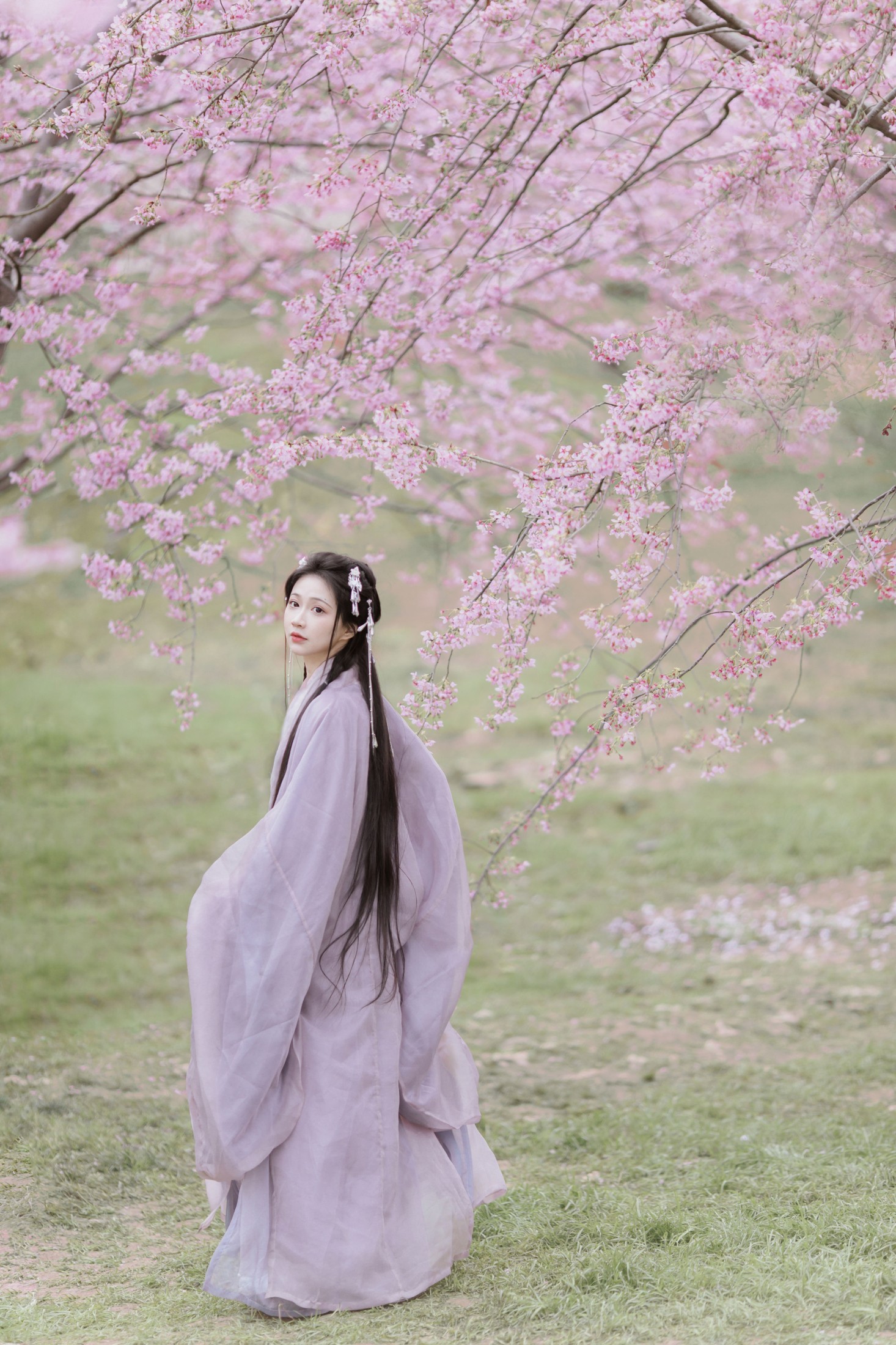 图片[6]-绮罗生的小苏苏 – 《春风如画》[17P]-COS写真在线网