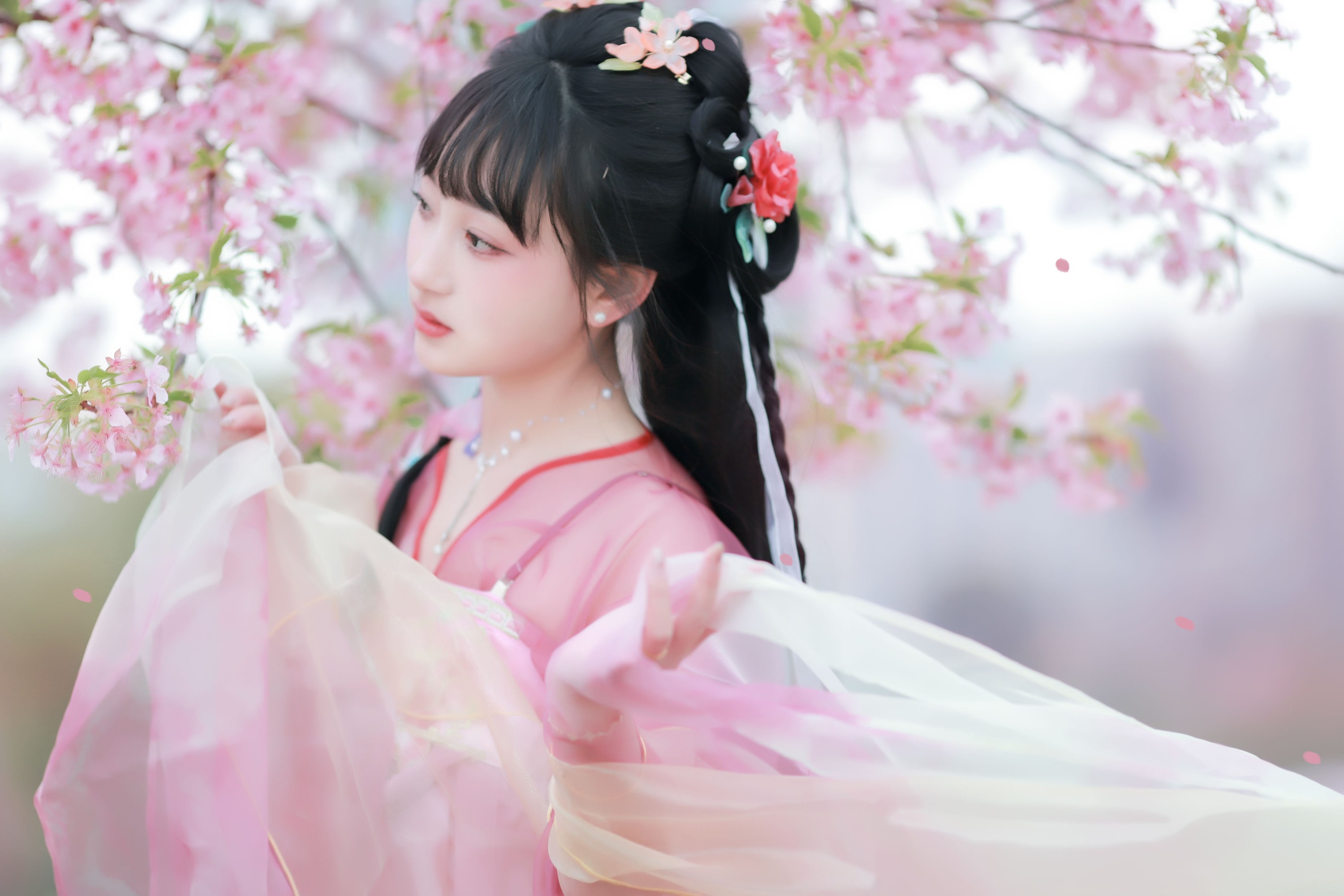 图片[5]-小王碎彬彬 – 《落樱》[13P]-COS写真在线网