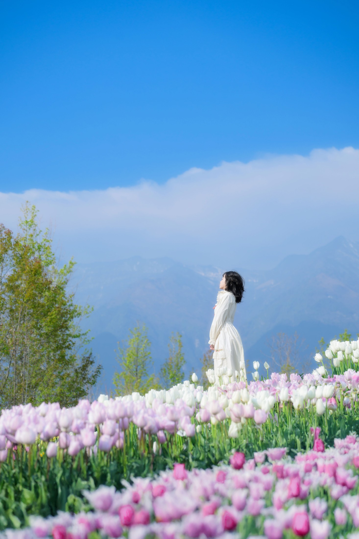 图片[3]-Disexi思宁 – 《鲜花人间》[20P]-COS写真在线网