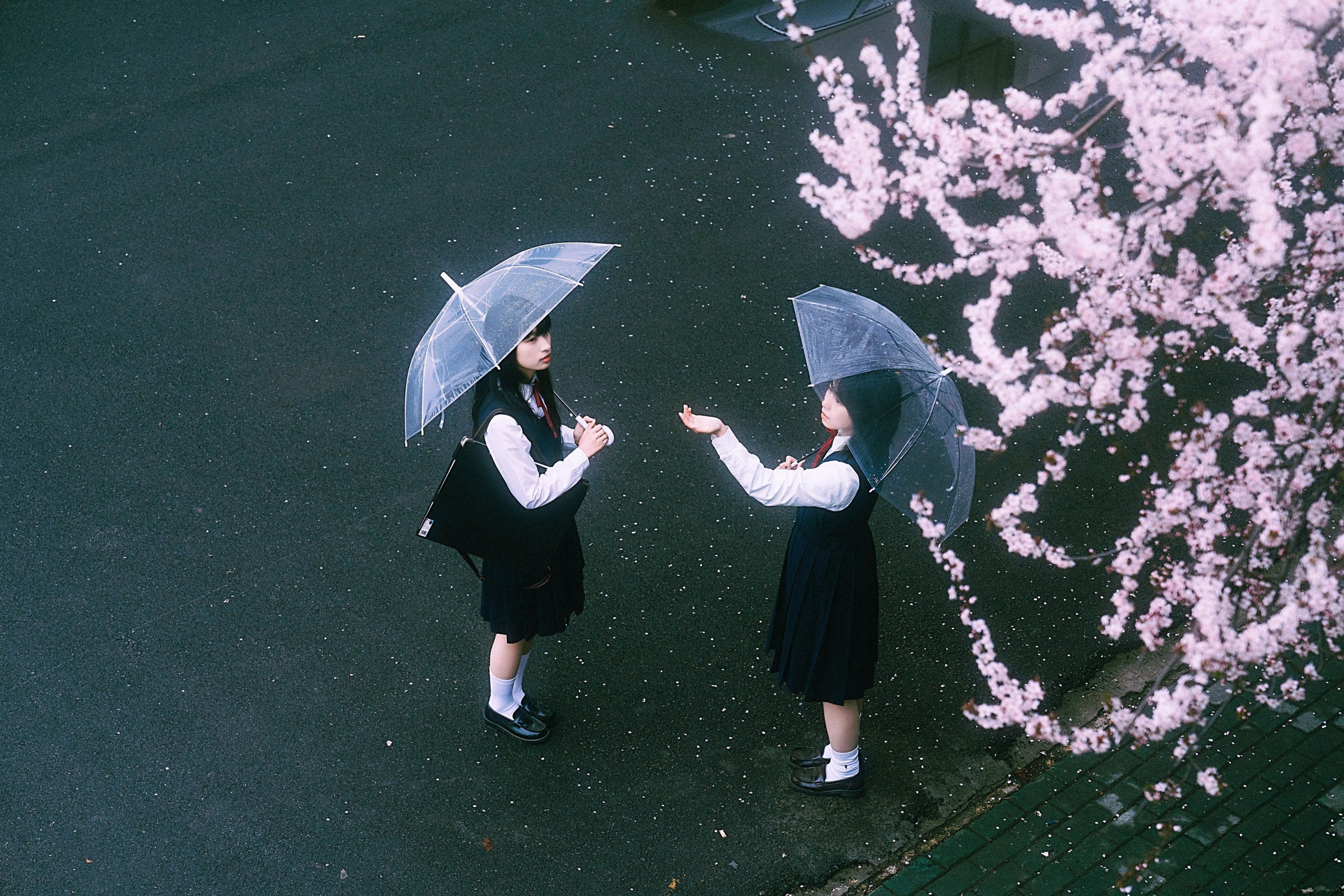 图片[4]-小葵不困 月亮小p – 《未完成的春分线》[32P]-COS写真在线网