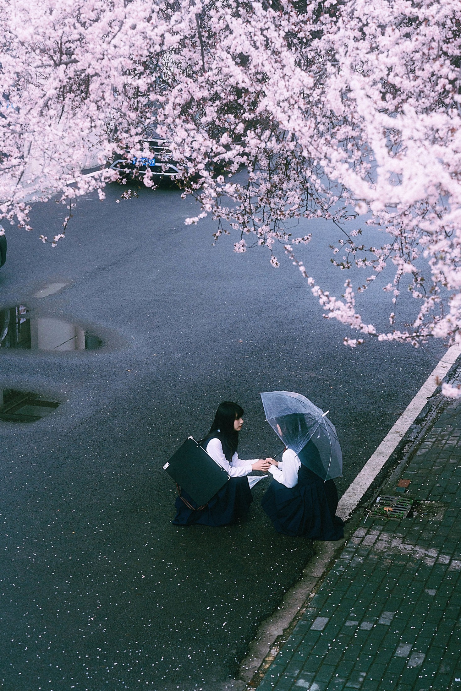 图片[3]-小葵不困 月亮小p – 《未完成的春分线》[32P]-COS写真在线网