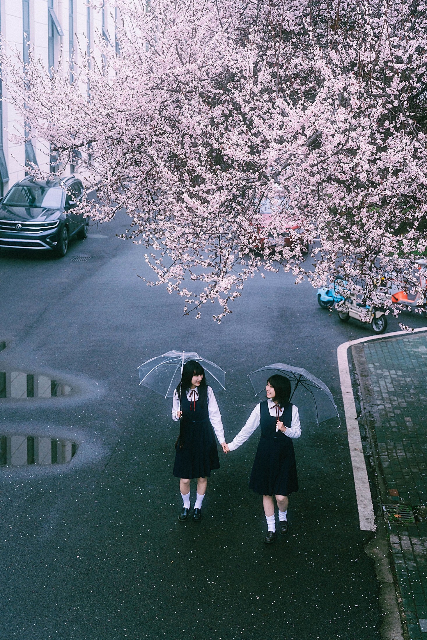 图片[5]-小葵不困 月亮小p – 《未完成的春分线》[32P]-COS写真在线网