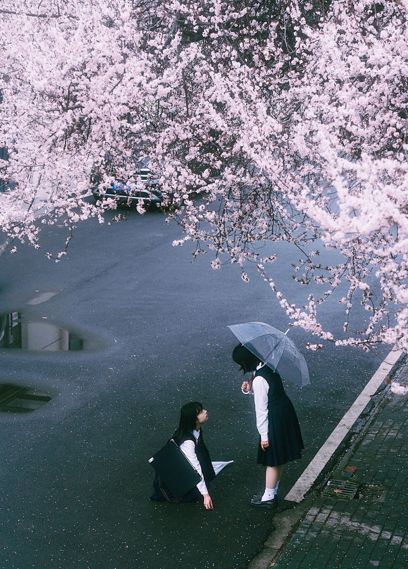 图片[2]-小葵不困 月亮小p – 《未完成的春分线》[32P]-COS写真在线网