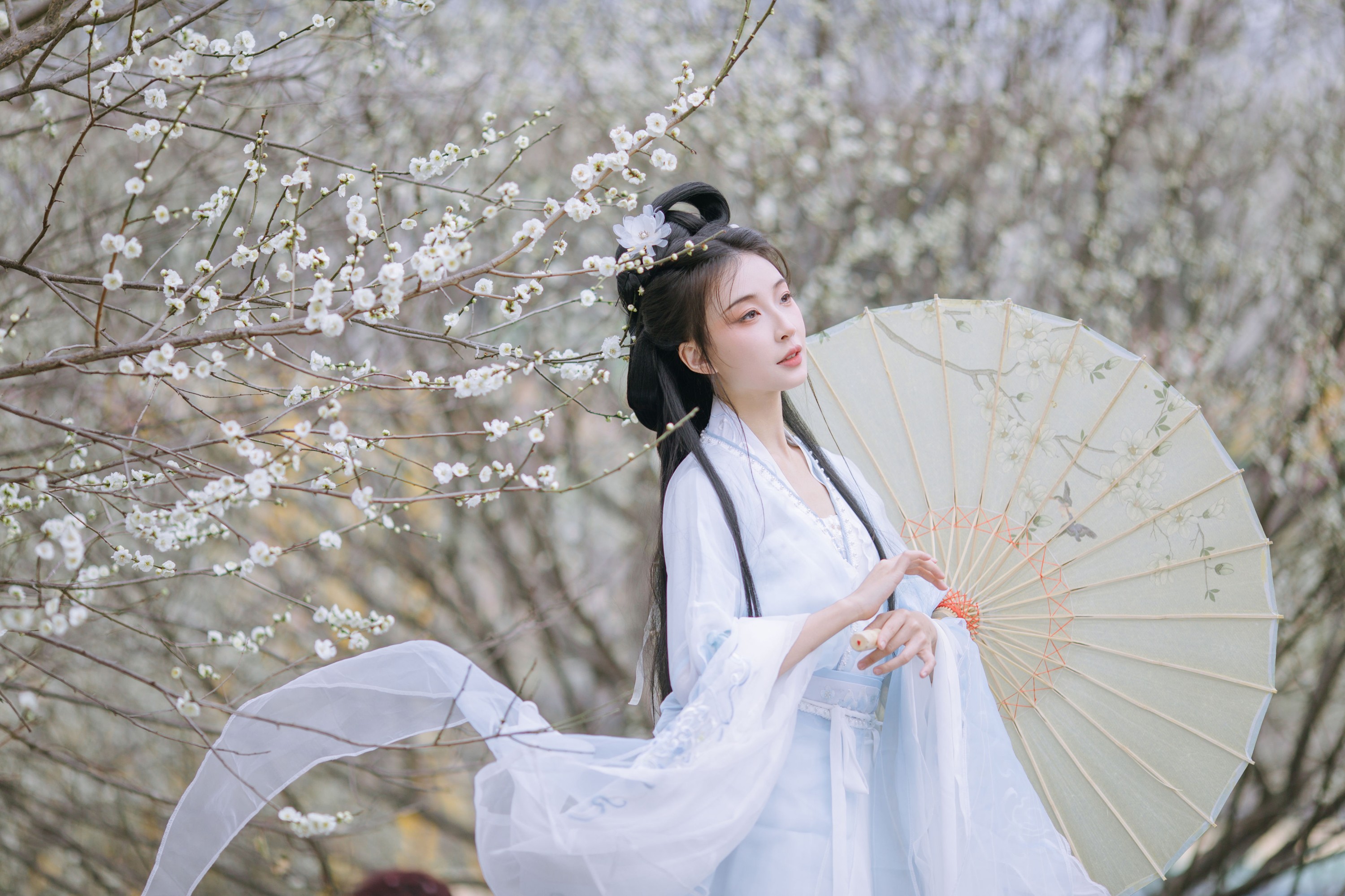 图片[3]-无巧不成狐（兮雅） – 《暗香浮动》[18P]-COS写真在线网