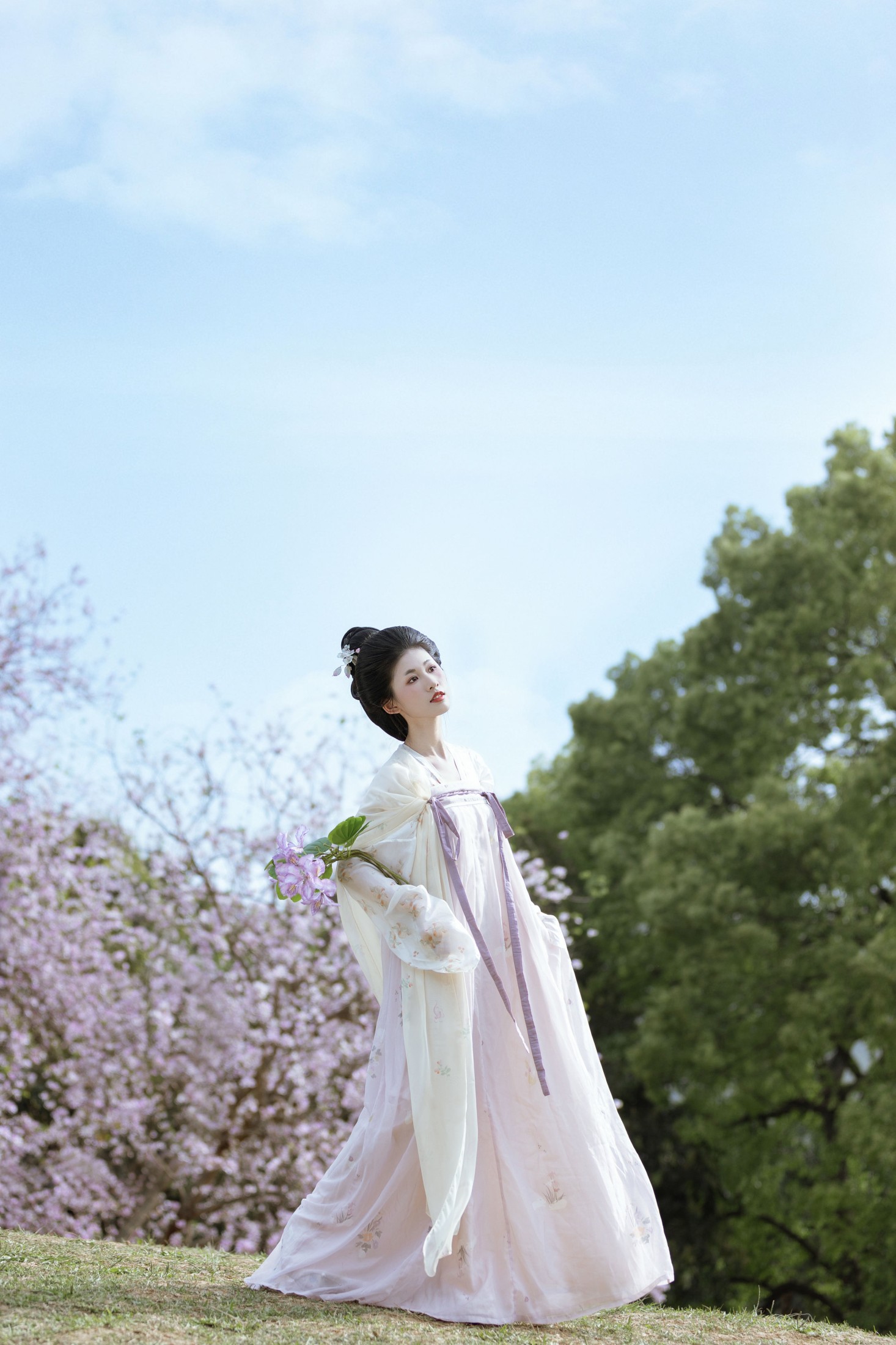 图片[3]-小y今天也很开心 – 《咏紫荆》[19P]-COS写真在线网