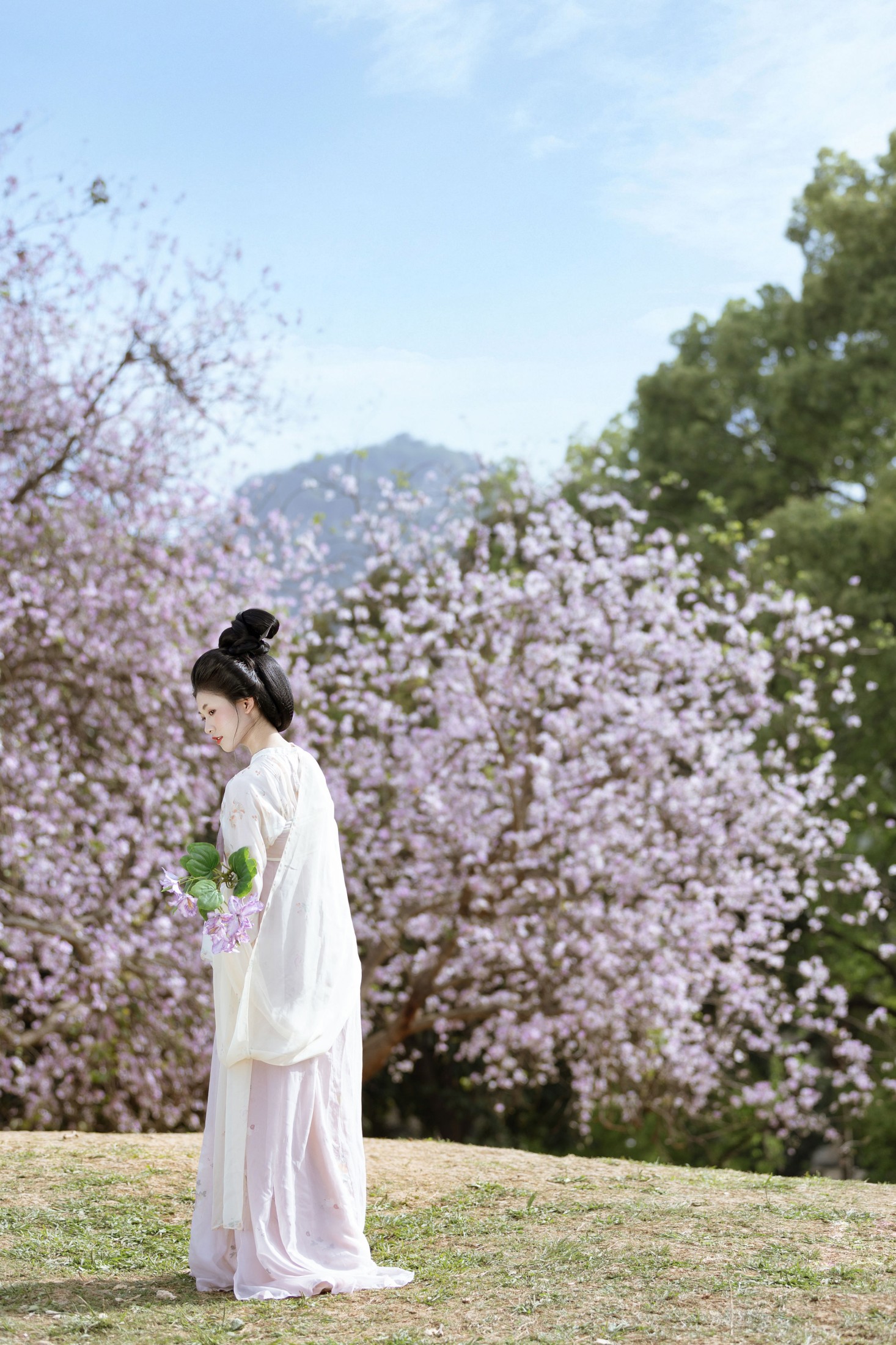 图片[4]-小y今天也很开心 – 《咏紫荆》[19P]-COS写真在线网