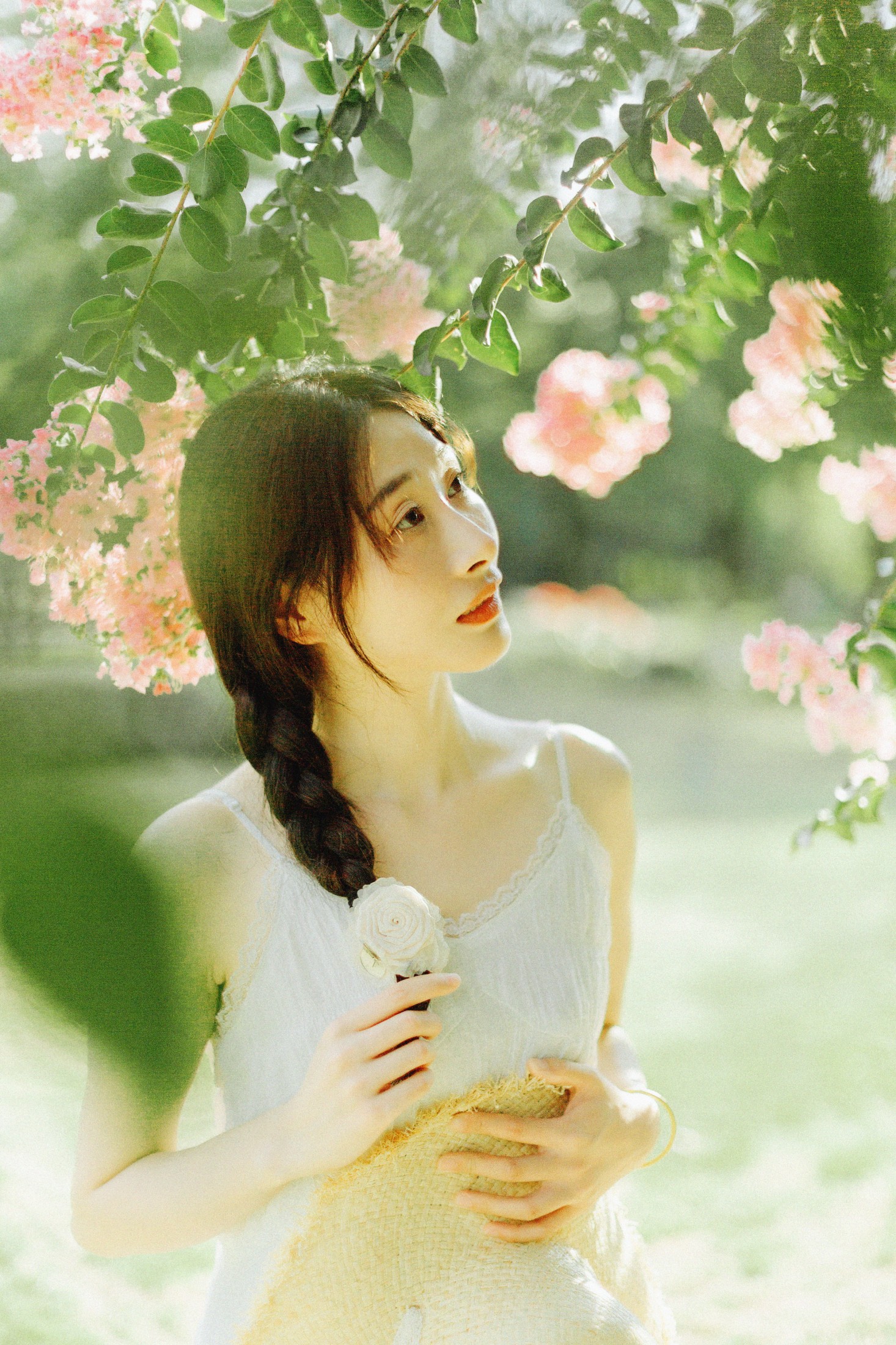 图片[5]-十二* – 《紫藤花开》[48P]-COS写真在线网