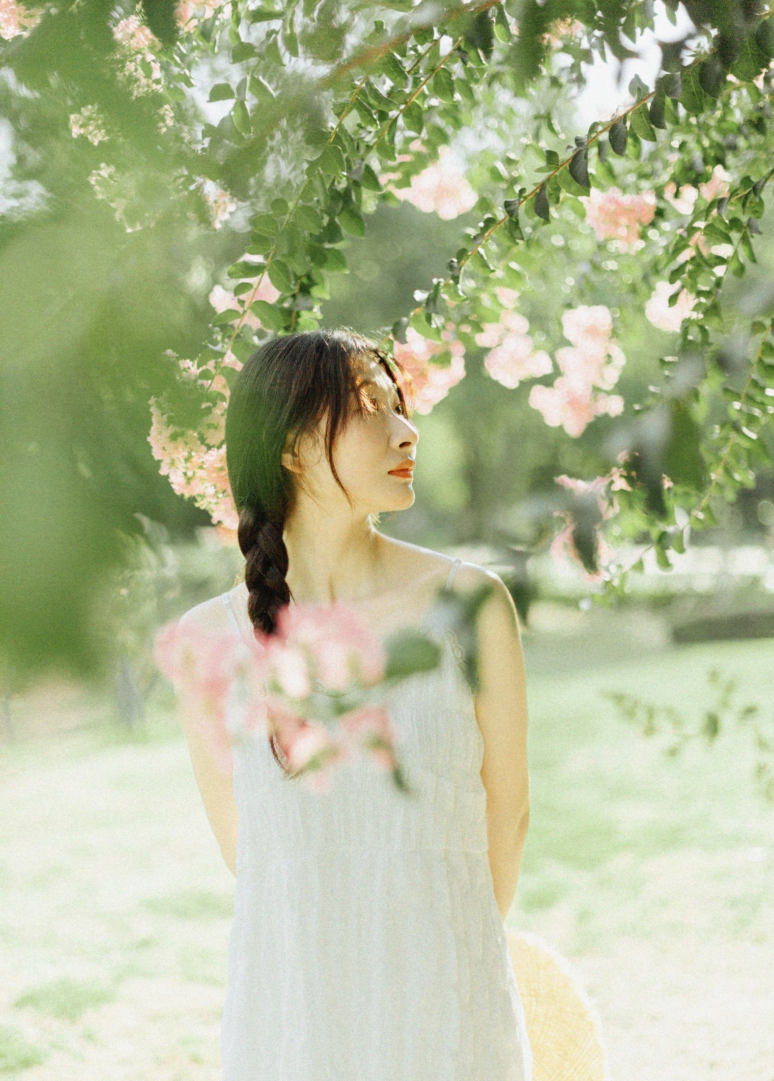 图片[2]-十二* – 《紫藤花开》[48P]-COS写真在线网