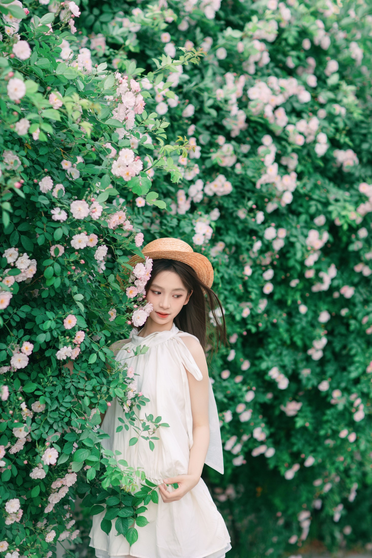 图片[5]-Minejoin – 《4月蔷薇花》[41P]-COS写真在线网