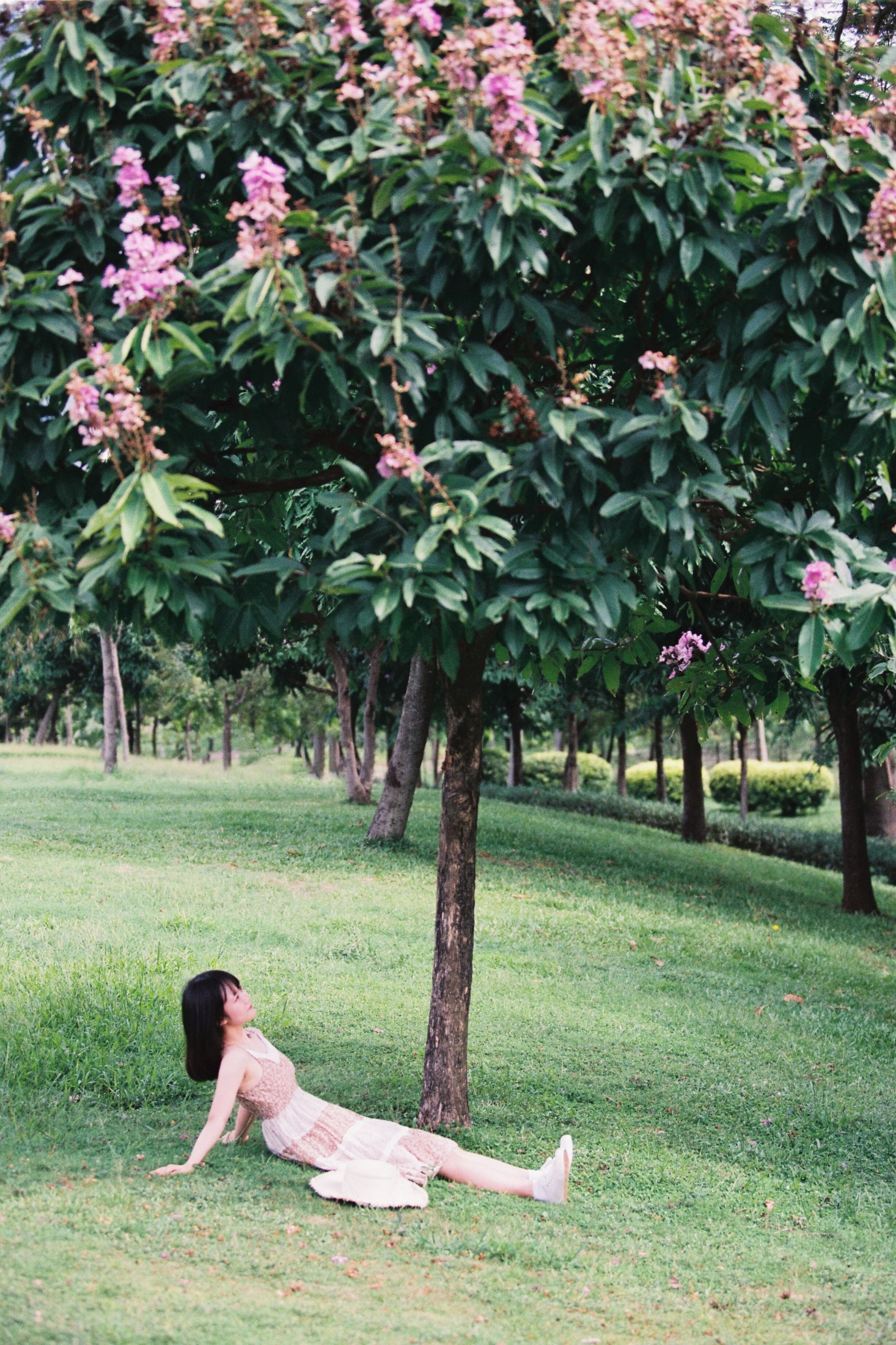 图片[3]-四月岛雯 – 《夏天的草地》[30P]-COS写真在线网