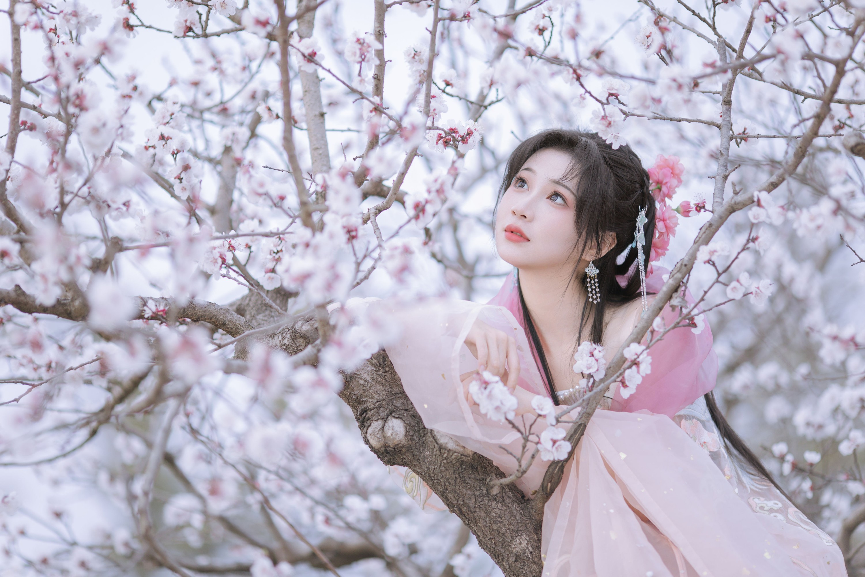 图片[4]-绮罗生的小苏苏 – 《杏花小仙子》[18P]-COS写真在线网