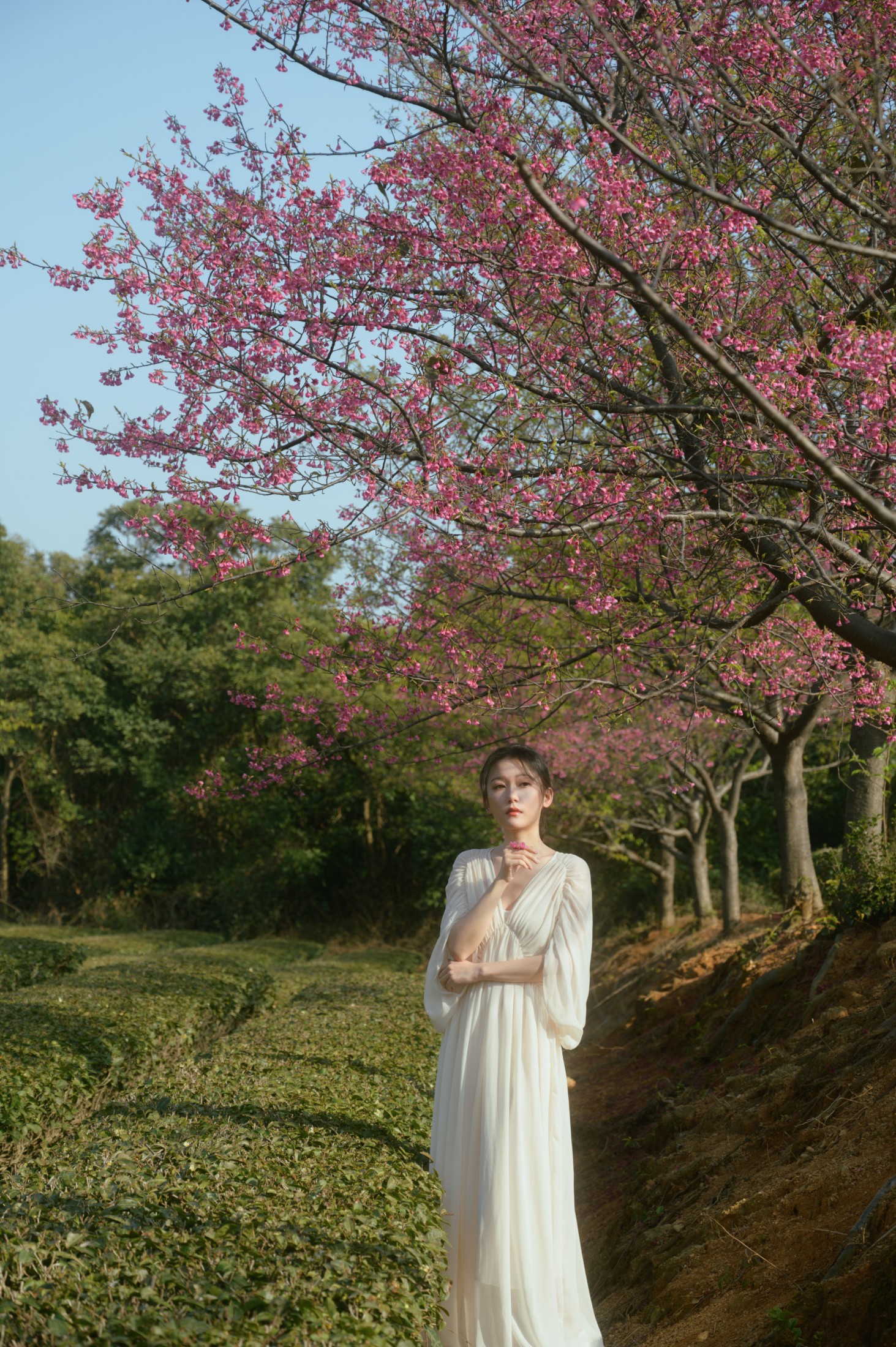 图片[3]-小月 – 《茶与樱》[27P]-COS写真在线网