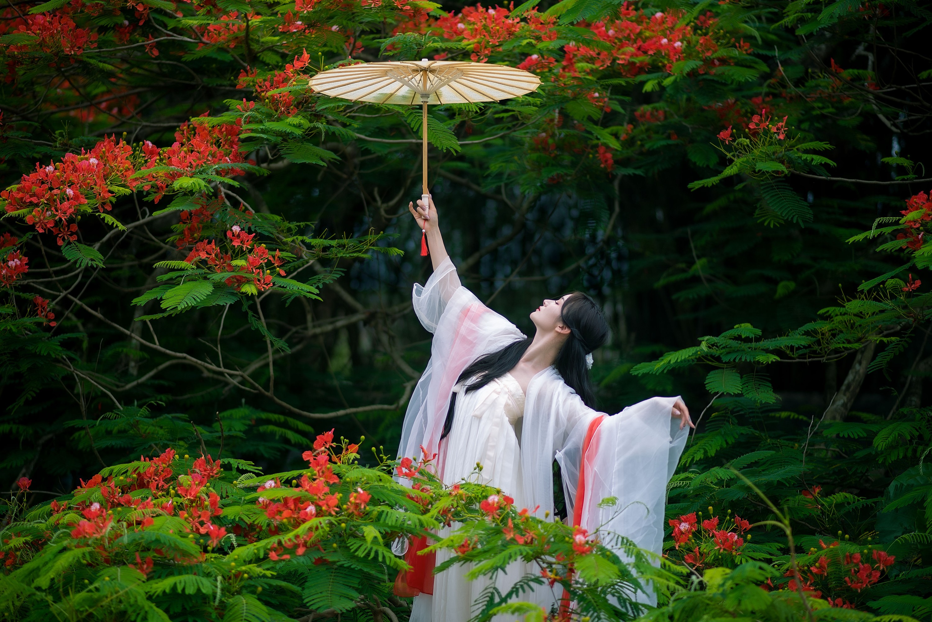 图片[4]-小冉 – 《凤凰花开》[18P]-COS写真在线网
