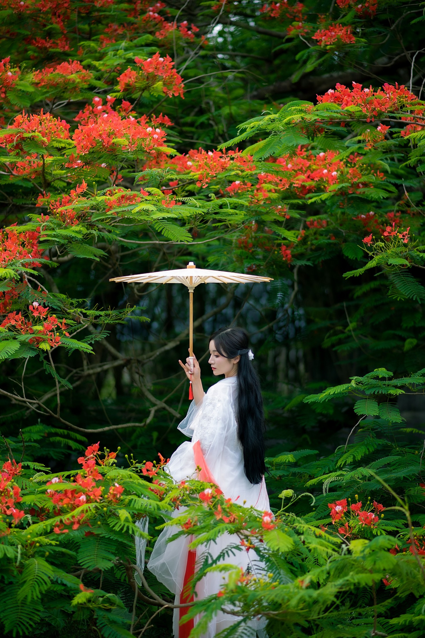 图片[5]-小冉 – 《凤凰花开》[18P]-COS写真在线网