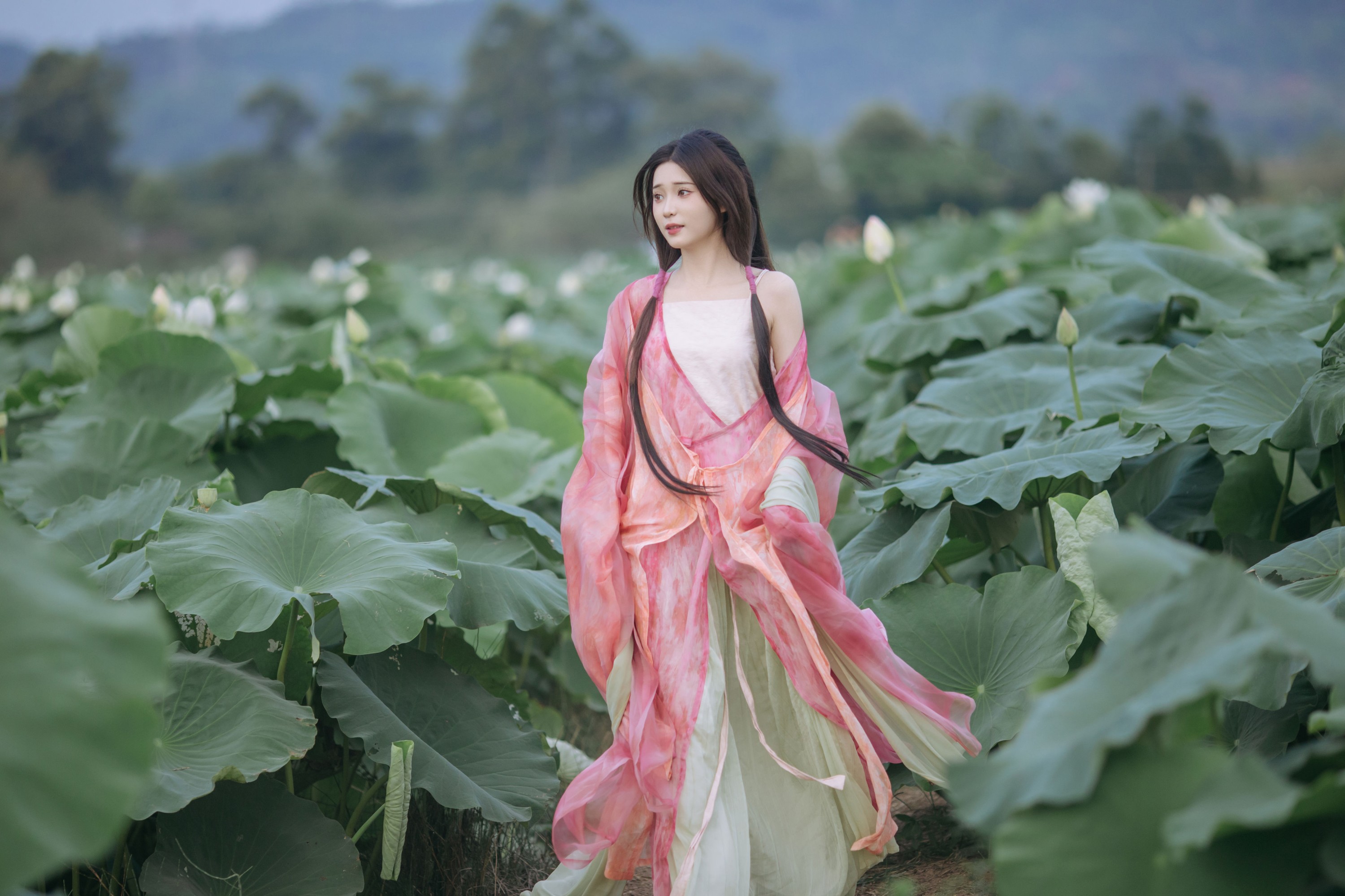 图片[3]-褚鸢鸢 – 《晚风吹倒荷花叶》[17P]-COS写真在线网