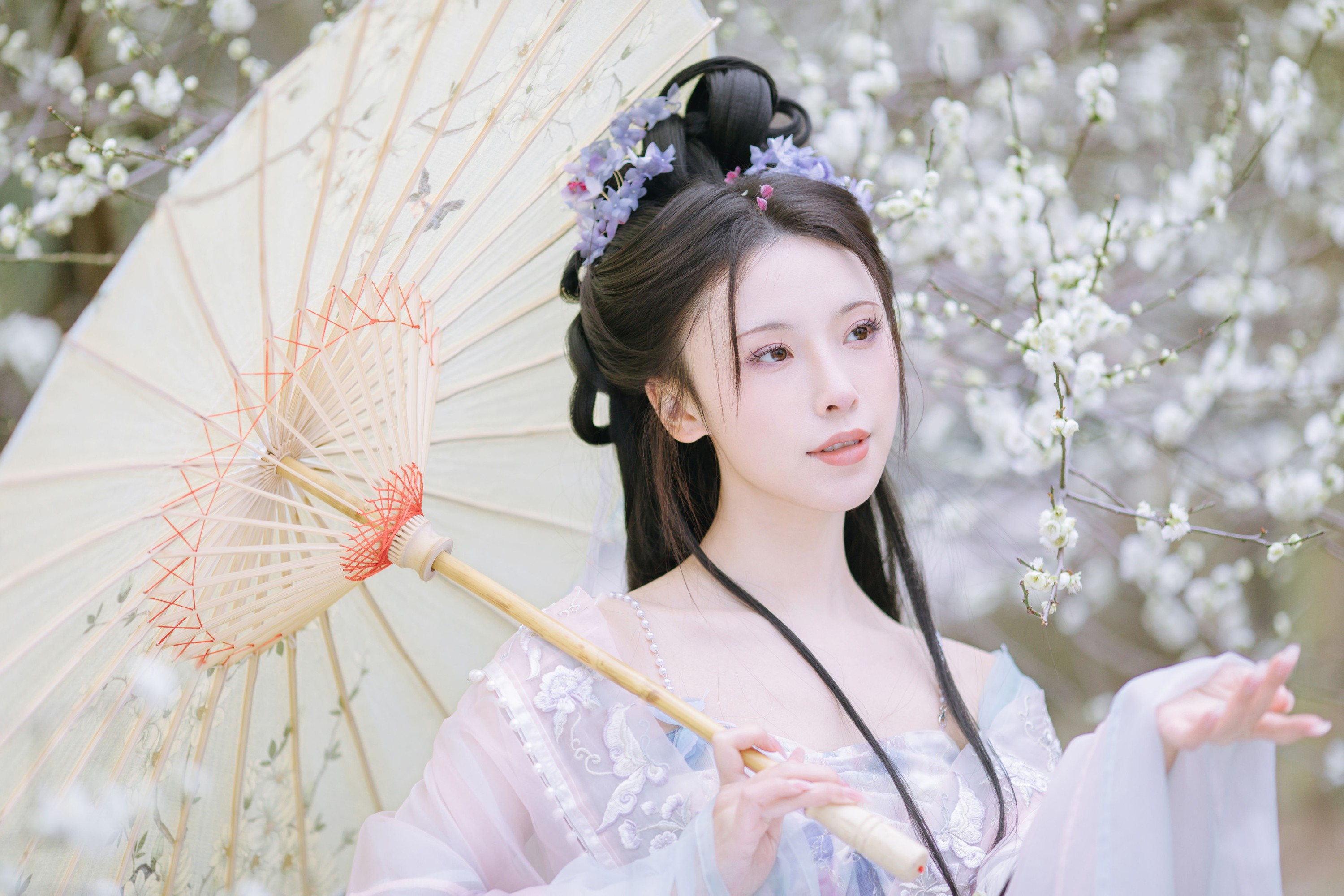 图片[4]-一小枝枝枝枝 – 《暗香疏影》[17P]-COS写真在线网
