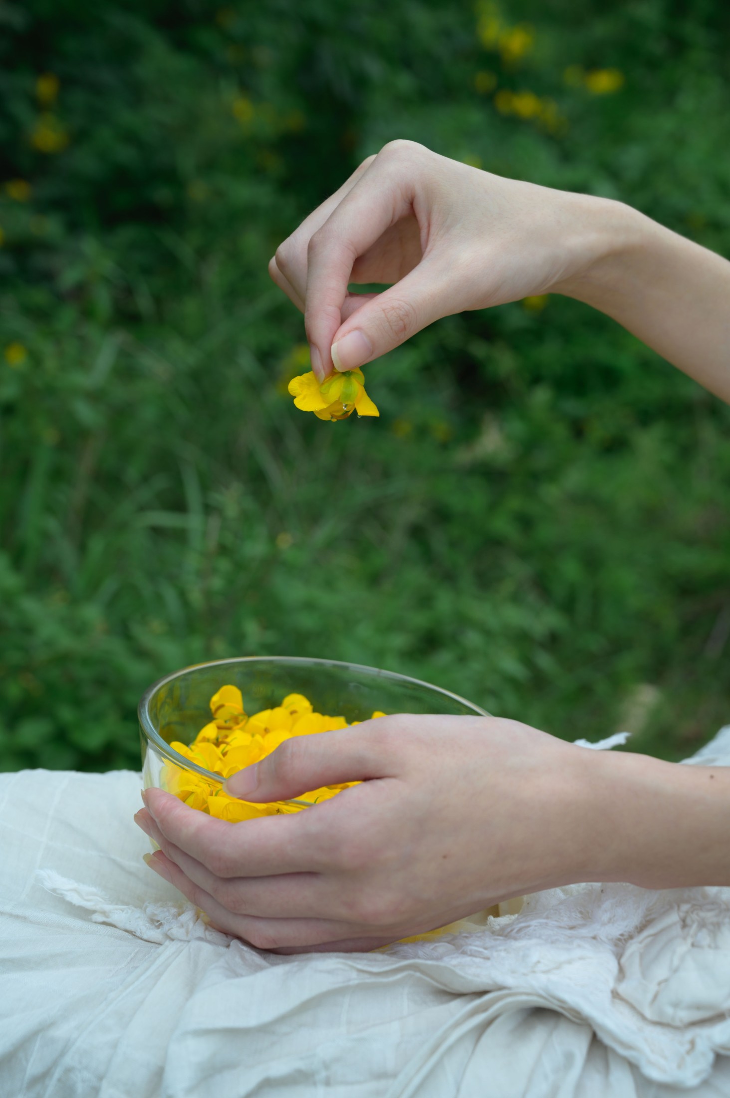 图片[4]-阿吉缘子 – 《黄槐花开》[18P]-COS写真在线网