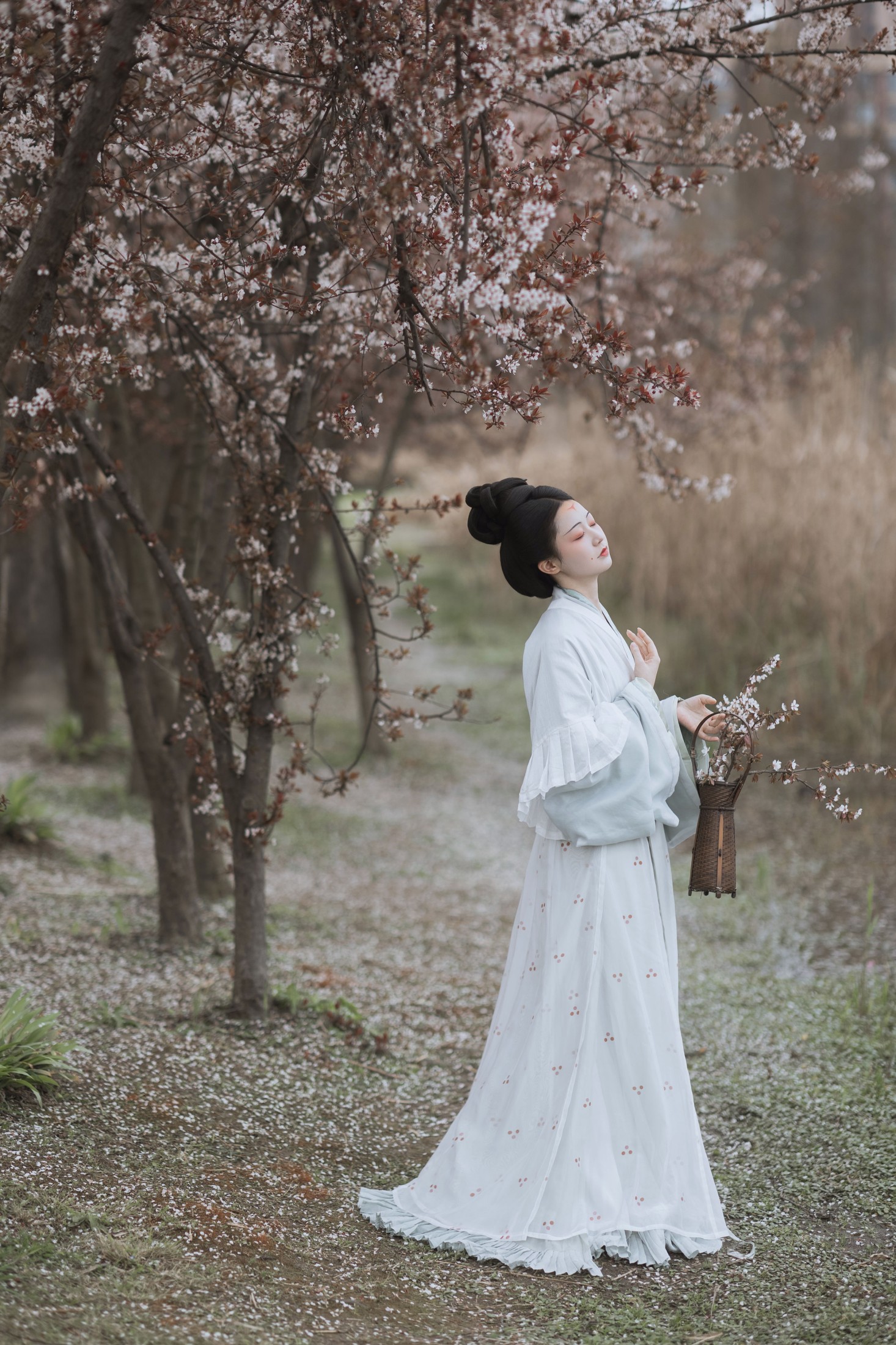 图片[3]-辞云镜 – 《探芳》[38P]-COS写真在线网