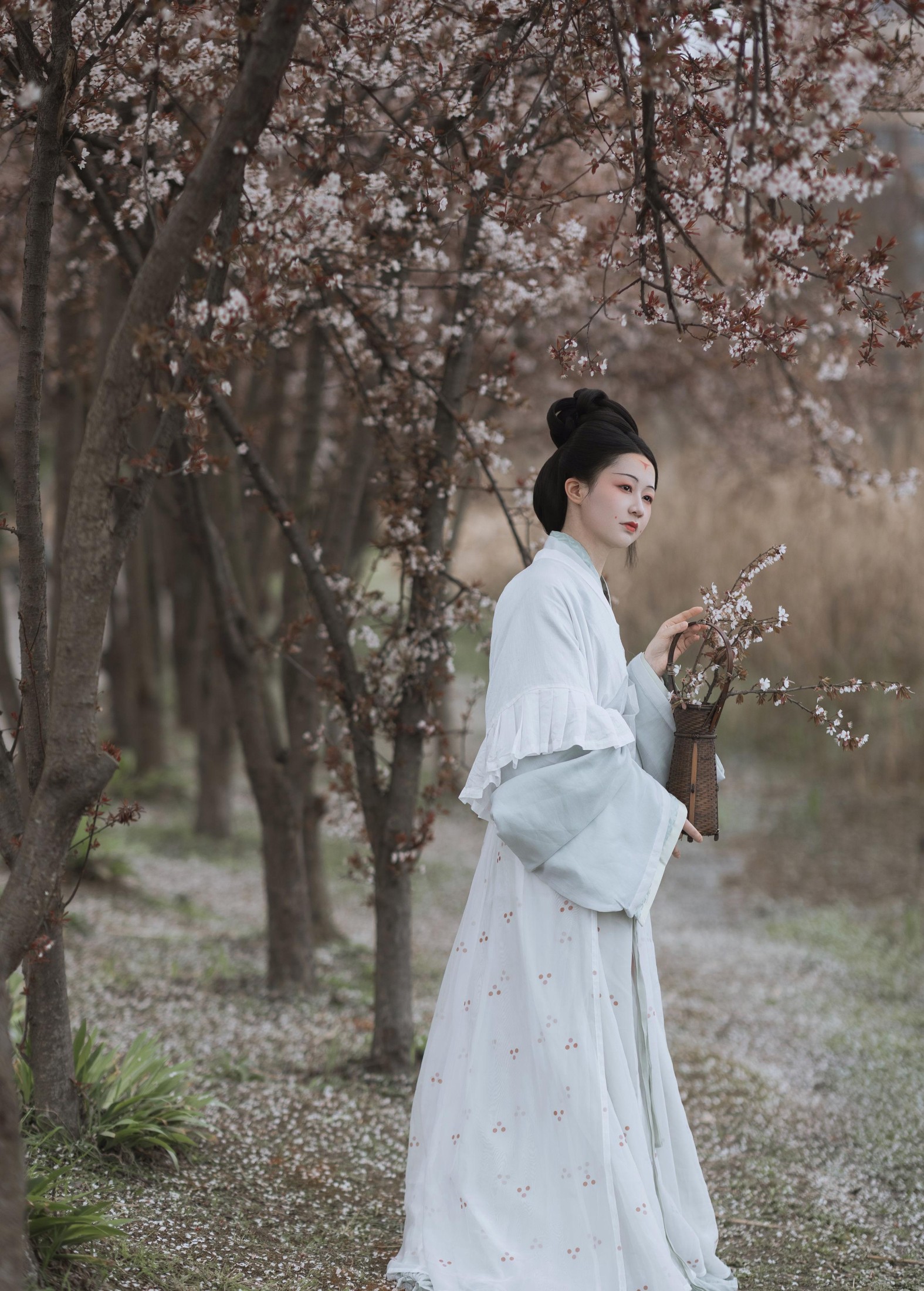 图片[2]-辞云镜 – 《探芳》[38P]-COS写真在线网