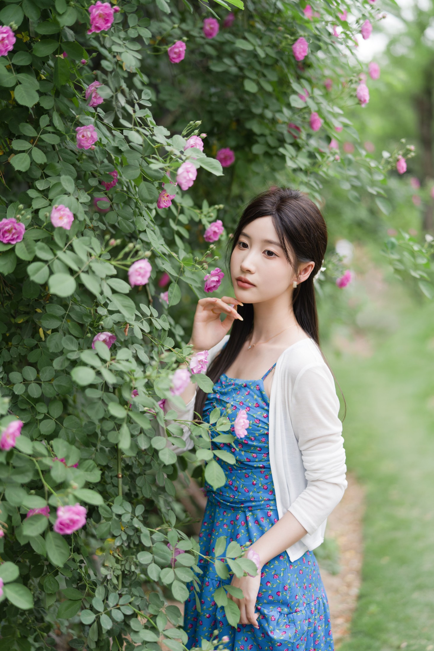 图片[3]-栀栀雯 – 《蔷薇春色》[36P]-COS写真在线网