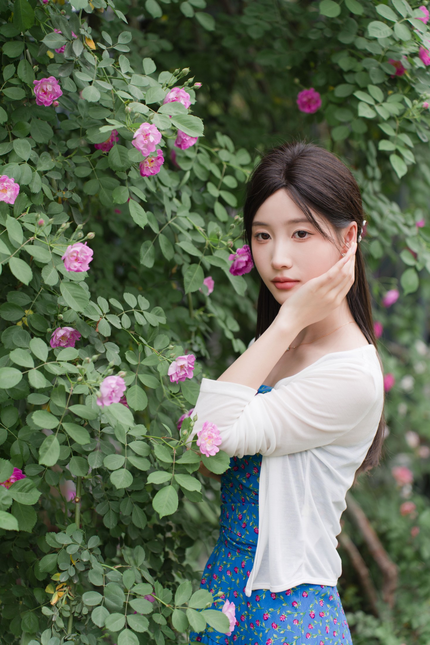 图片[4]-栀栀雯 – 《蔷薇春色》[36P]-COS写真在线网