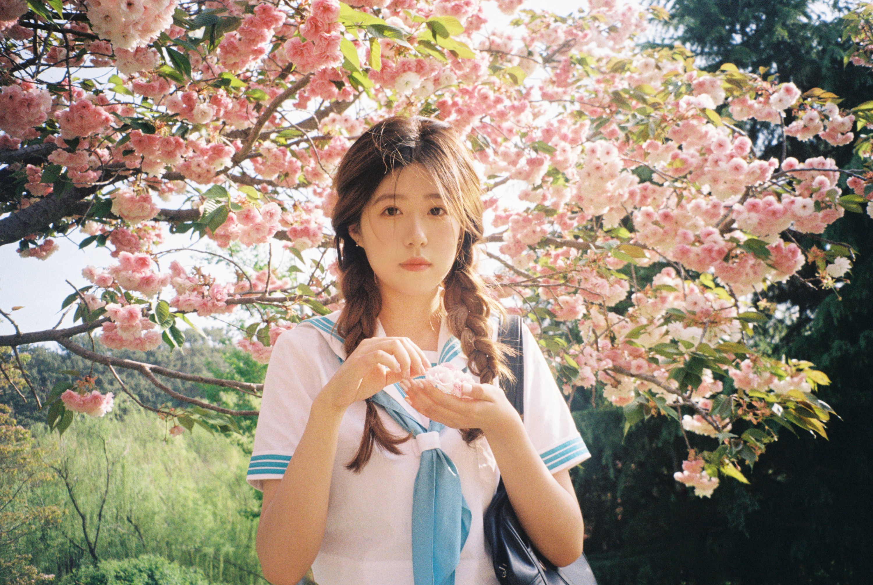 图片[4]-。 – 《樱花物语》[14P]-COS写真在线网