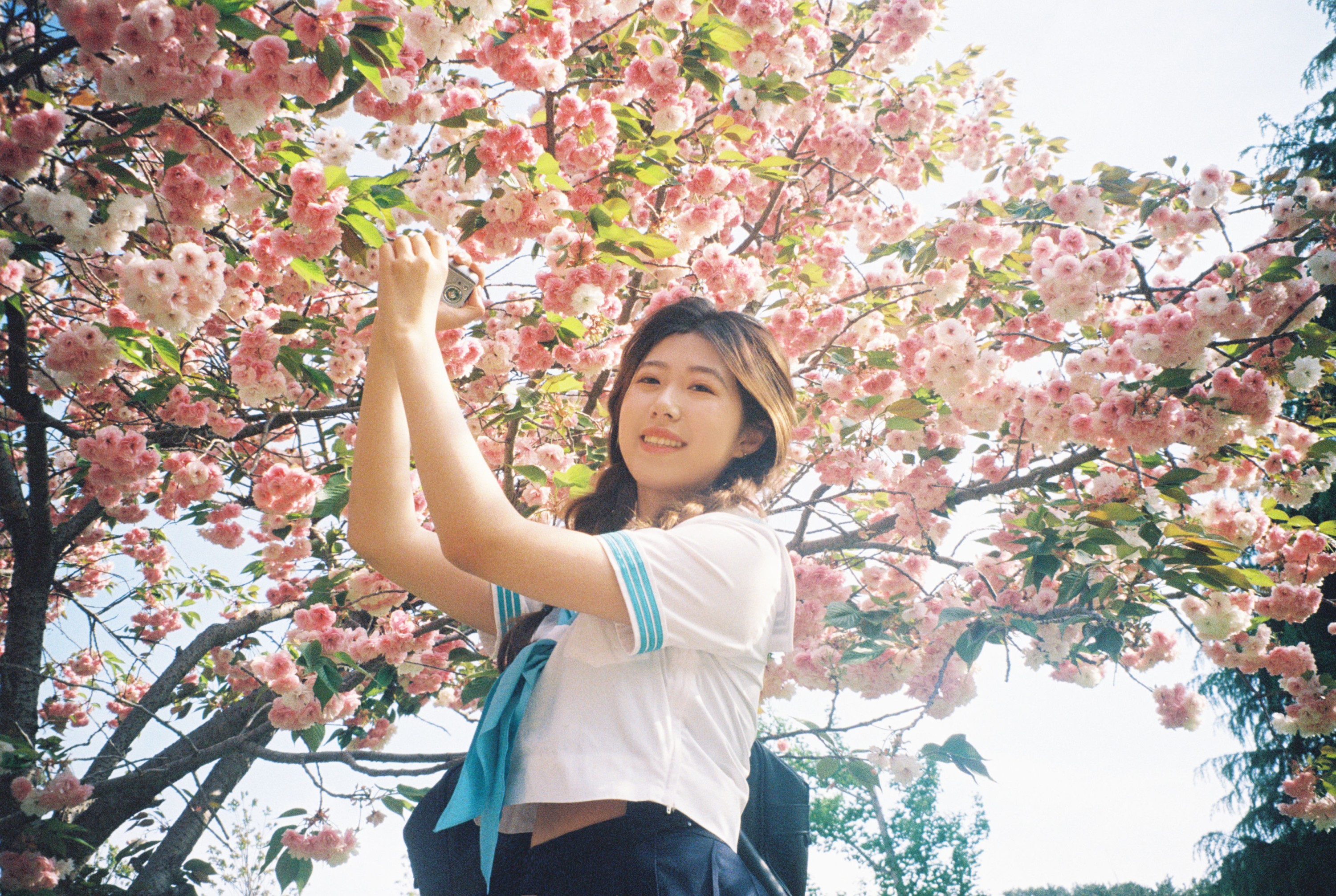 图片[3]-。 – 《樱花物语》[14P]-COS写真在线网