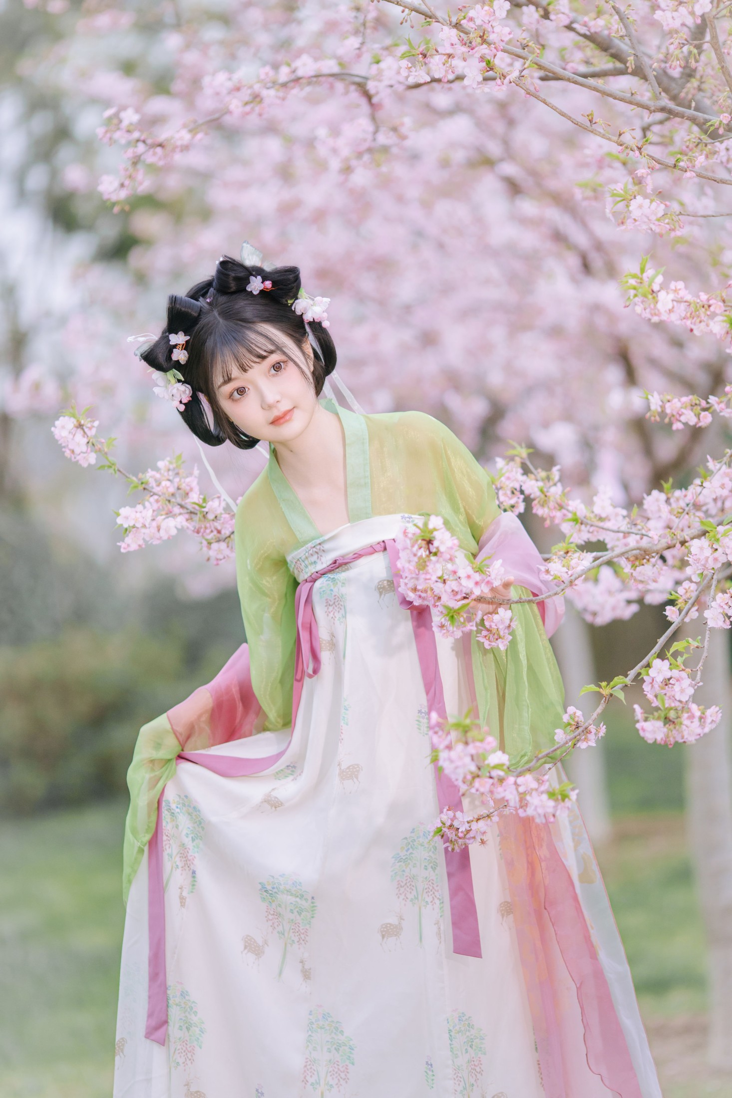 图片[3]-百狸 – 《春知晓》[18P]-COS写真在线网