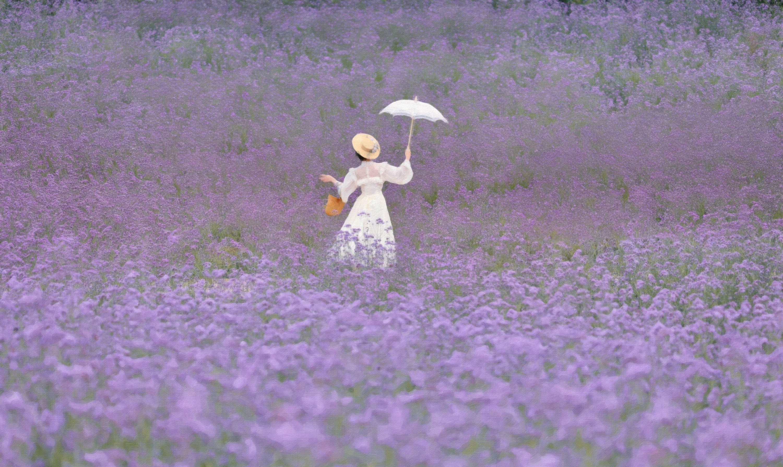 图片[2]-彦小彦摄影 – 《薰衣草的极致浪漫》[18P]-COS写真在线网