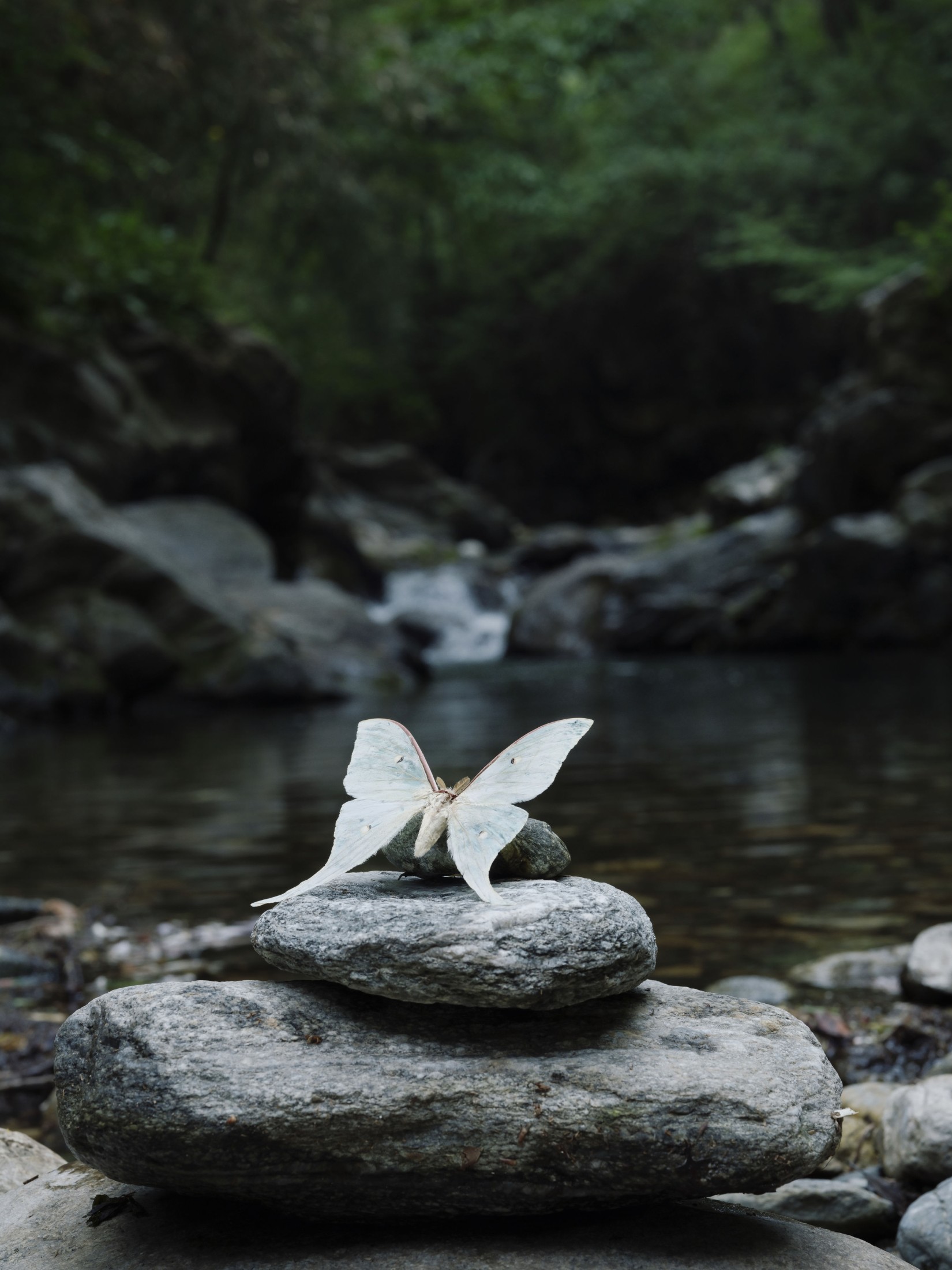 图片[4]-万元里美 – 《破茧》[13P]-COS写真在线网