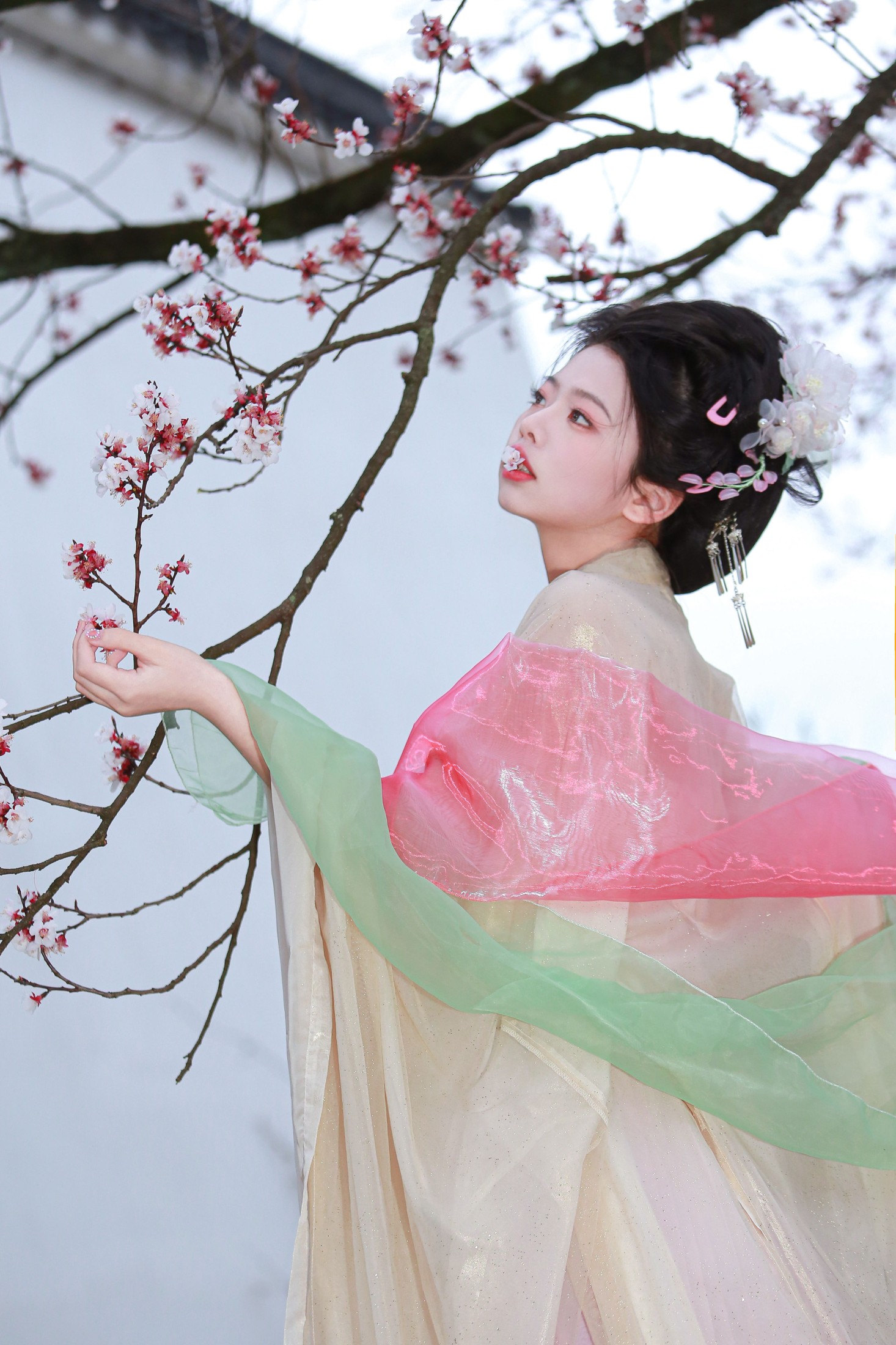 图片[4]-肥肥 – 《山茶花神》[13P]-COS写真在线网