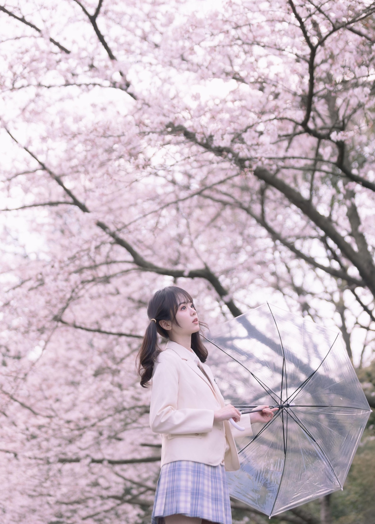 图片[2]-刺青师豆芽 – 《樱花树下的少女》[24P]-COS写真在线网