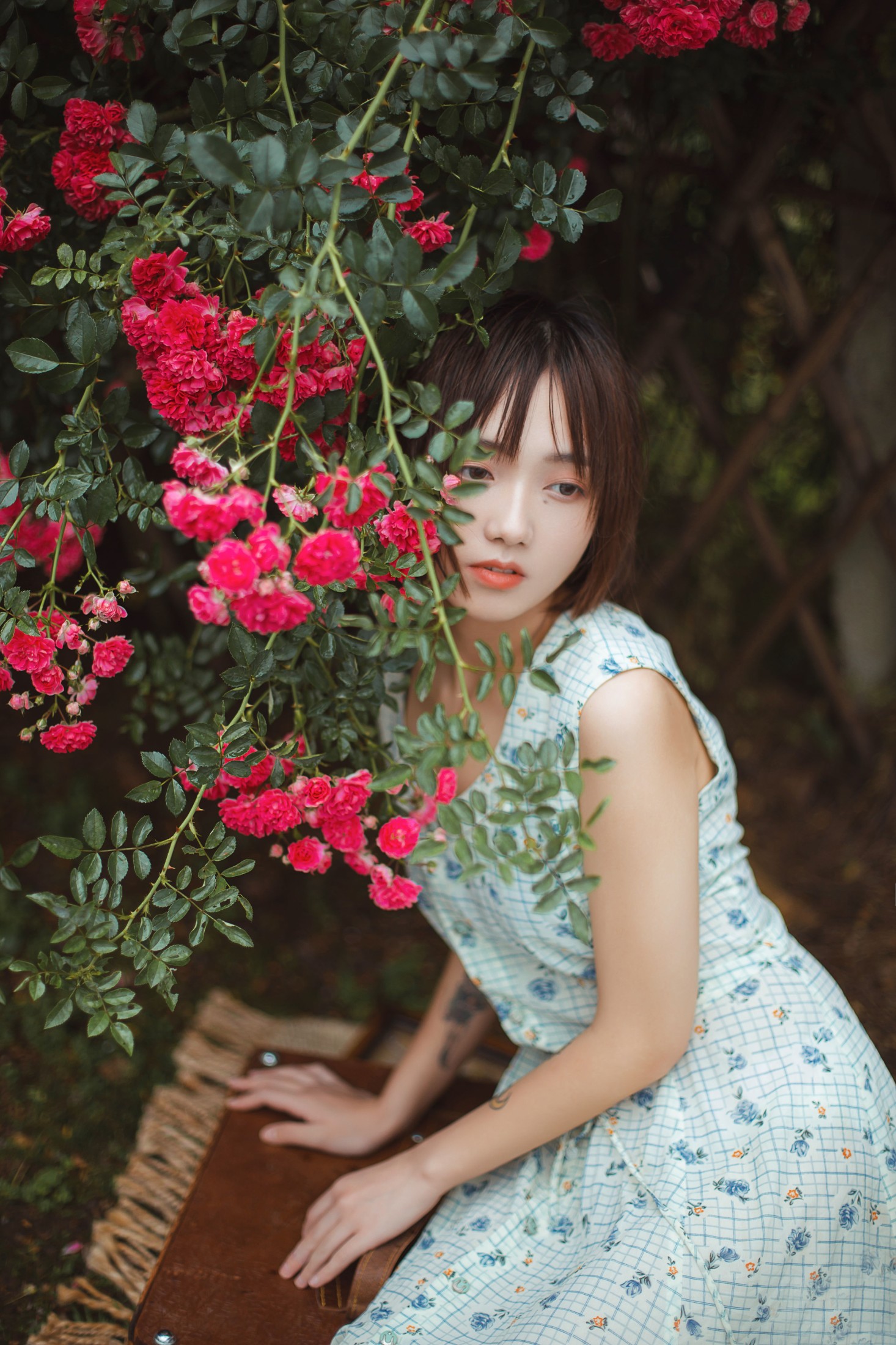 图片[5]-echo – 《青雉》[18P]-COS写真在线网