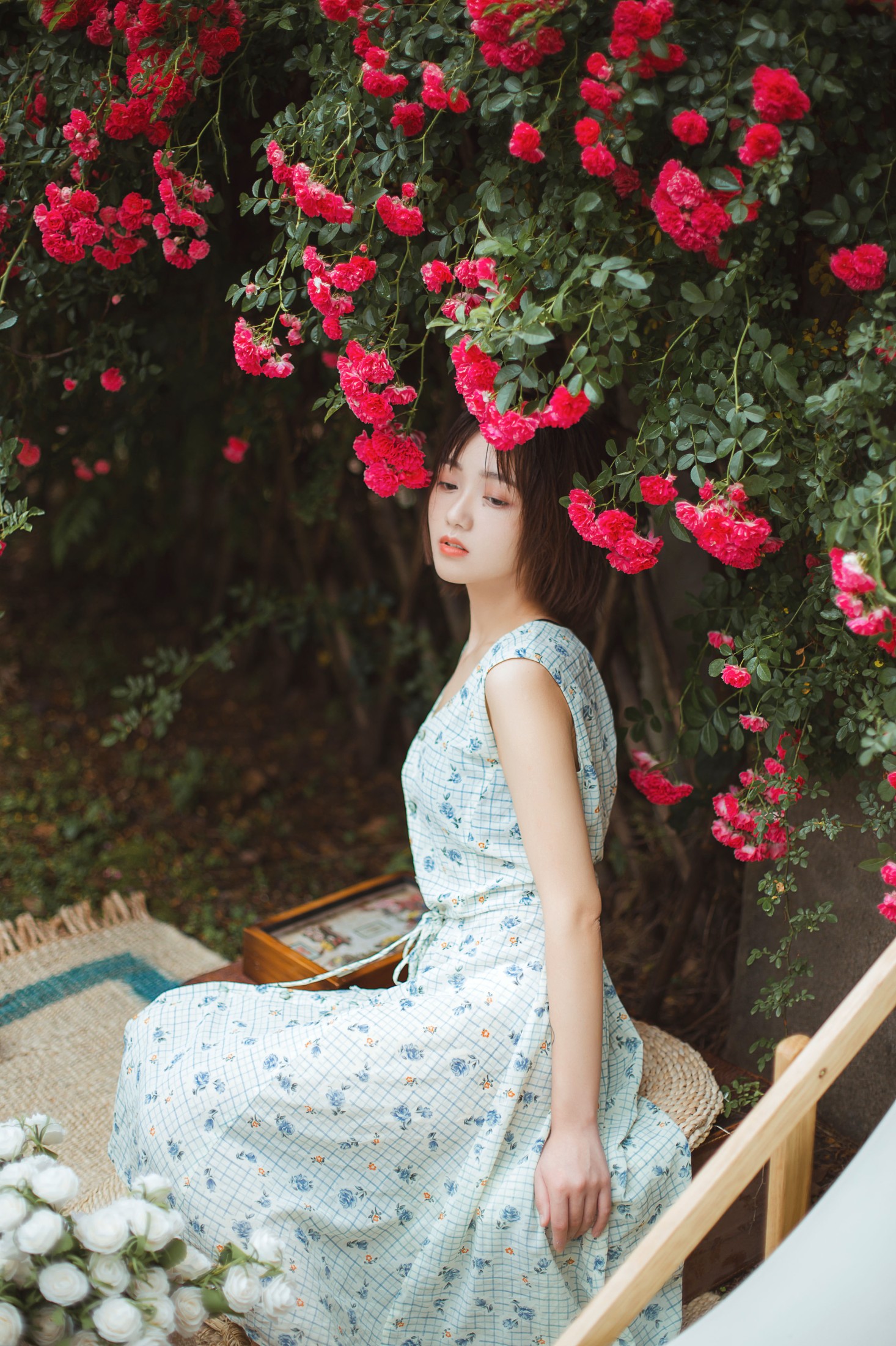 图片[3]-echo – 《青雉》[18P]-COS写真在线网