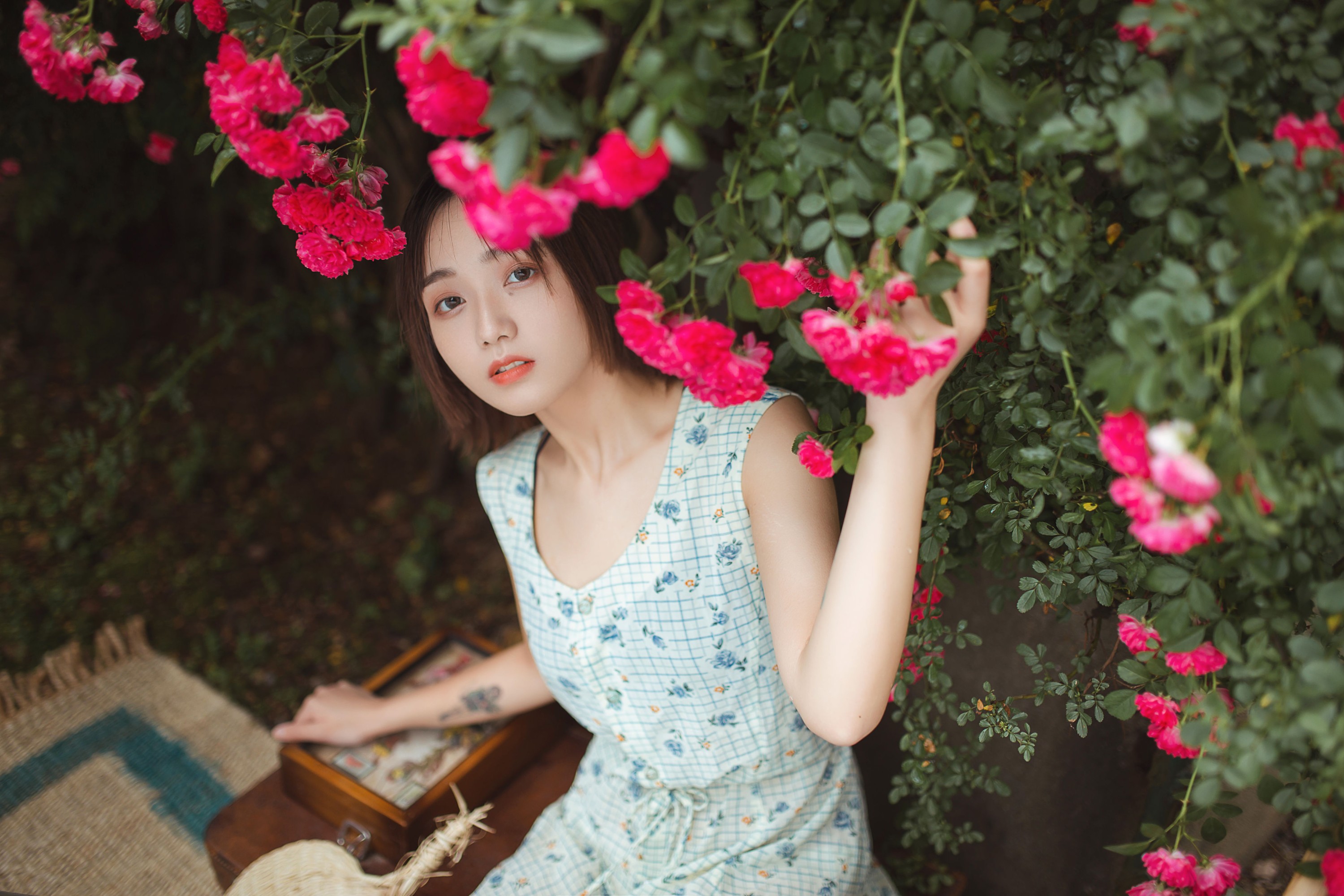 图片[4]-echo – 《青雉》[18P]-COS写真在线网