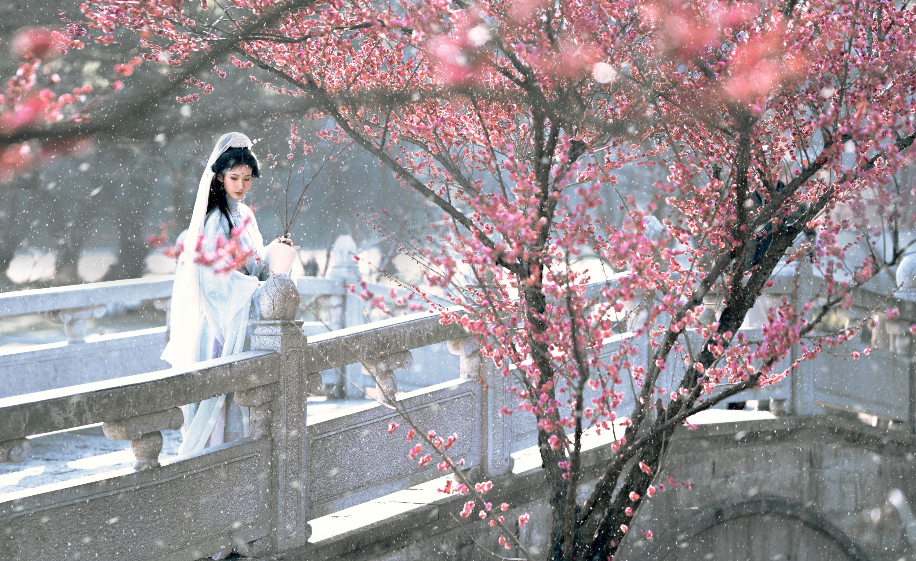 图片[6]-荷里寒 – 《琉璃世界，白雪红梅》[14P]-COS写真在线网
