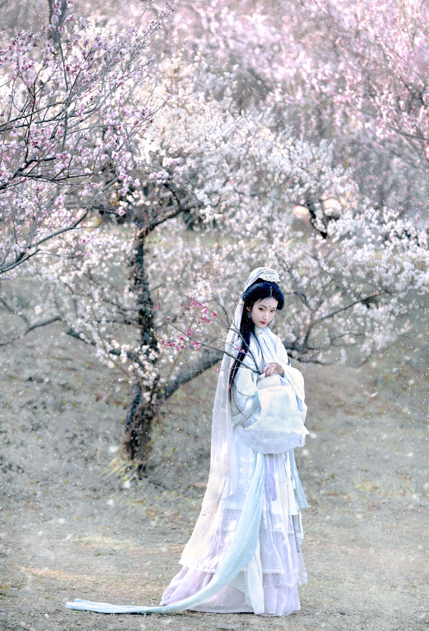 图片[4]-荷里寒 – 《琉璃世界，白雪红梅》[14P]-COS写真在线网