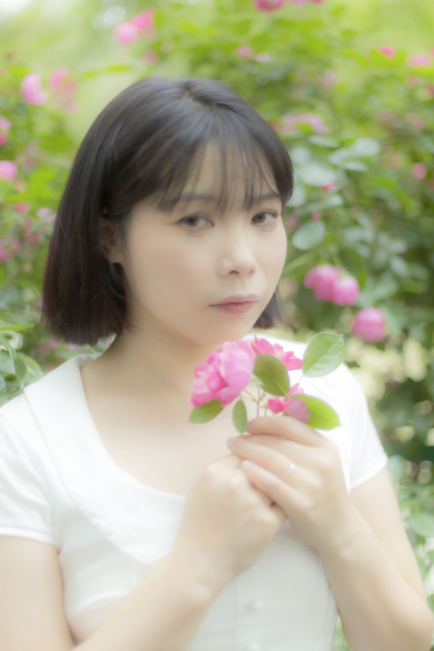 图片[3]-Y～ – 《蔷薇花女孩》[21P]-COS写真在线网