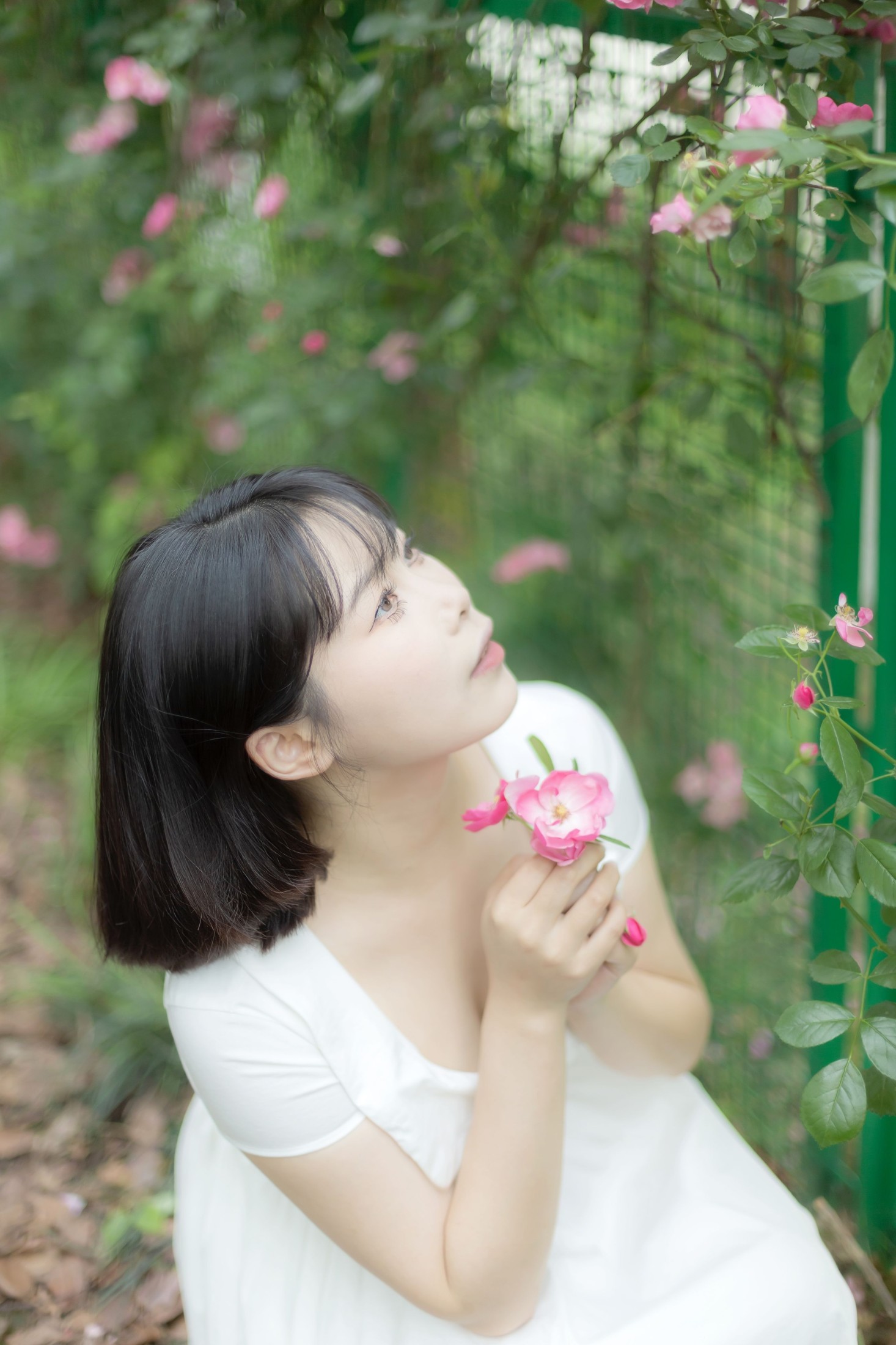 图片[6]-Y～ – 《蔷薇花女孩》[21P]-COS写真在线网