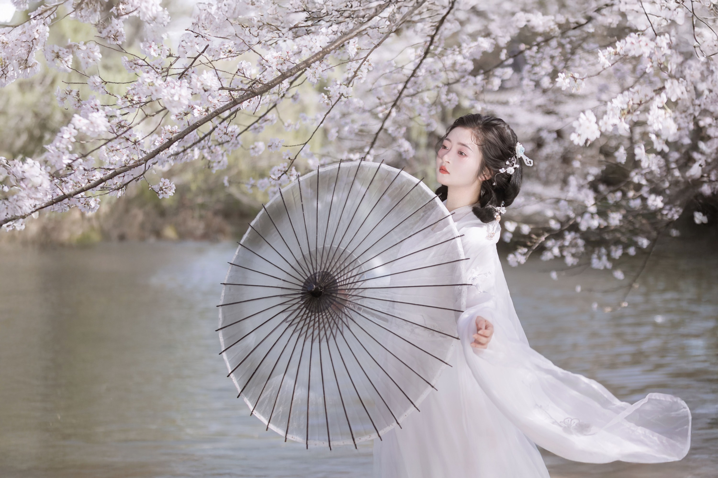 图片[4]-比奇堡最漂亮的女人 – 《故园赏樱》[30P]-COS写真在线网