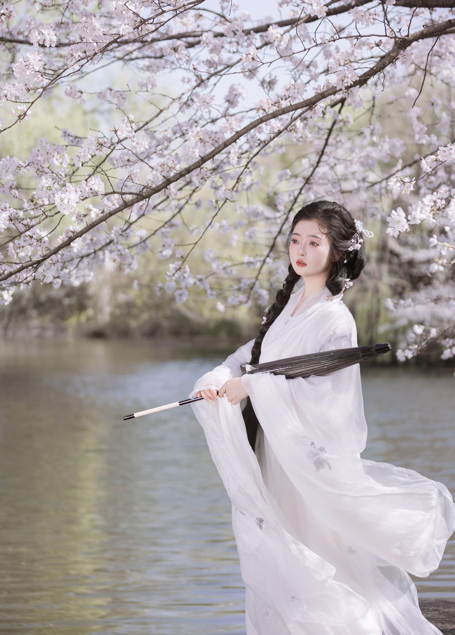 图片[2]-比奇堡最漂亮的女人 – 《故园赏樱》[30P]-COS写真在线网