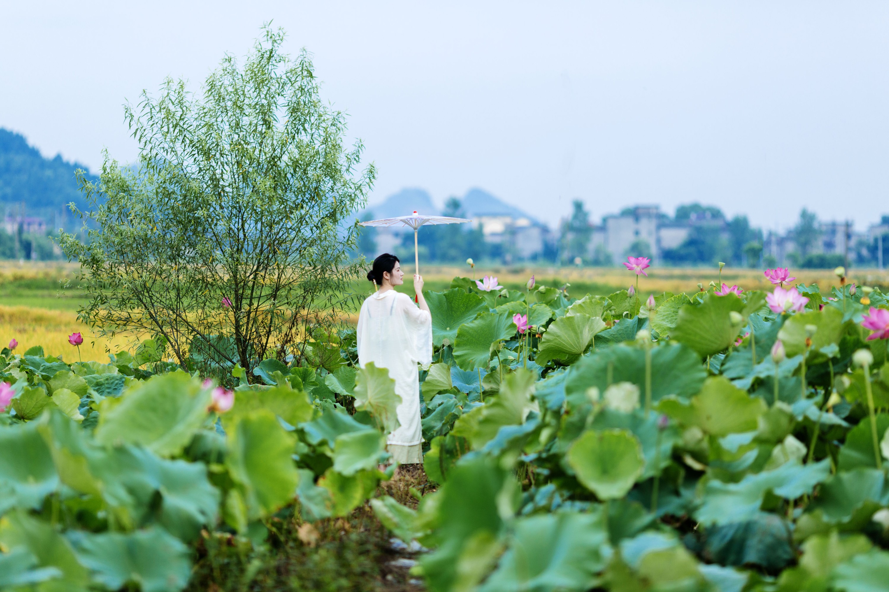 图片[5]-潘潘 – 《春有百花夏有荷》[14P]-COS写真在线网