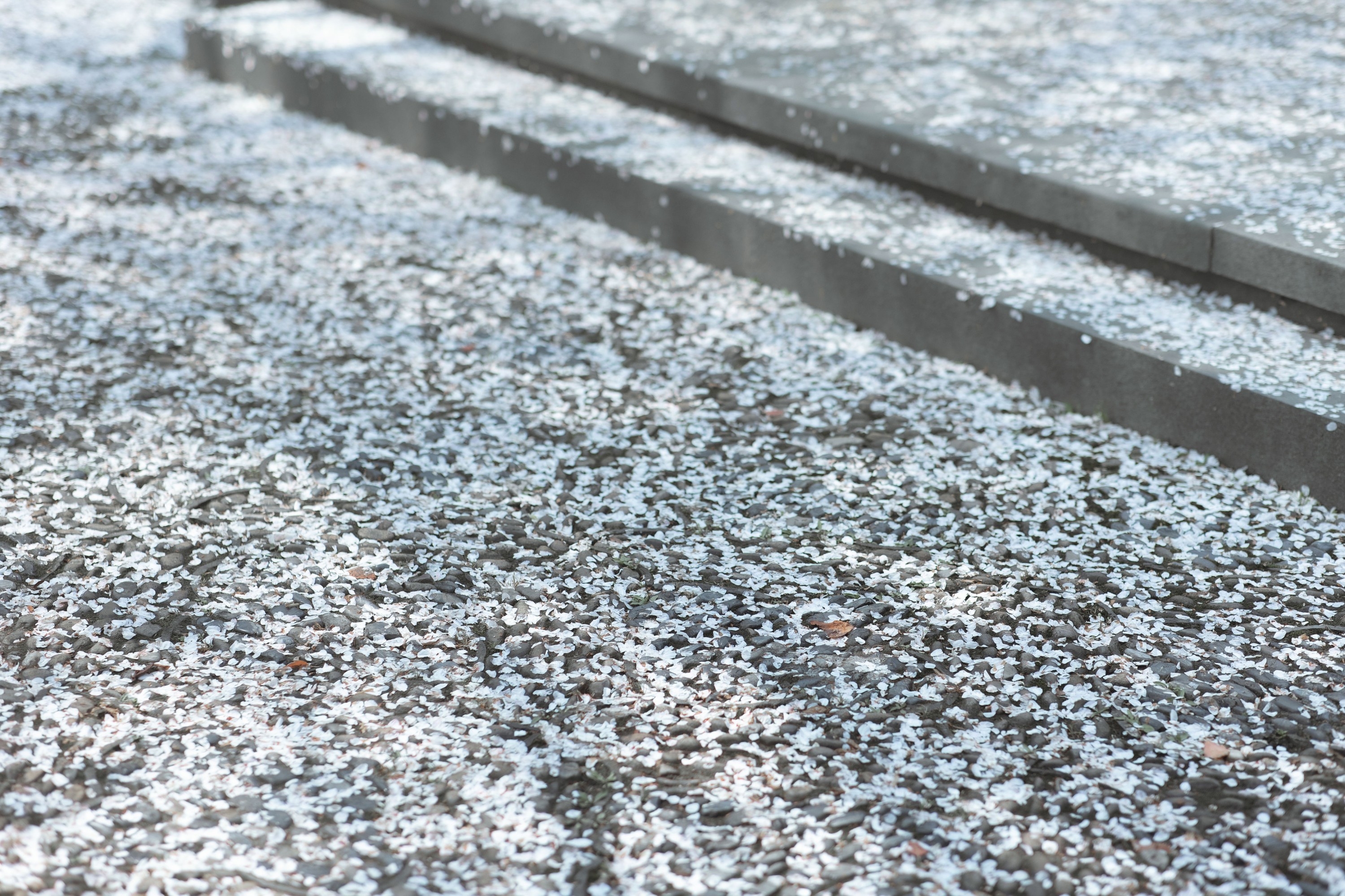 图片[5]-穆晏秋 – 《庭前雪》[21P]-COS写真在线网