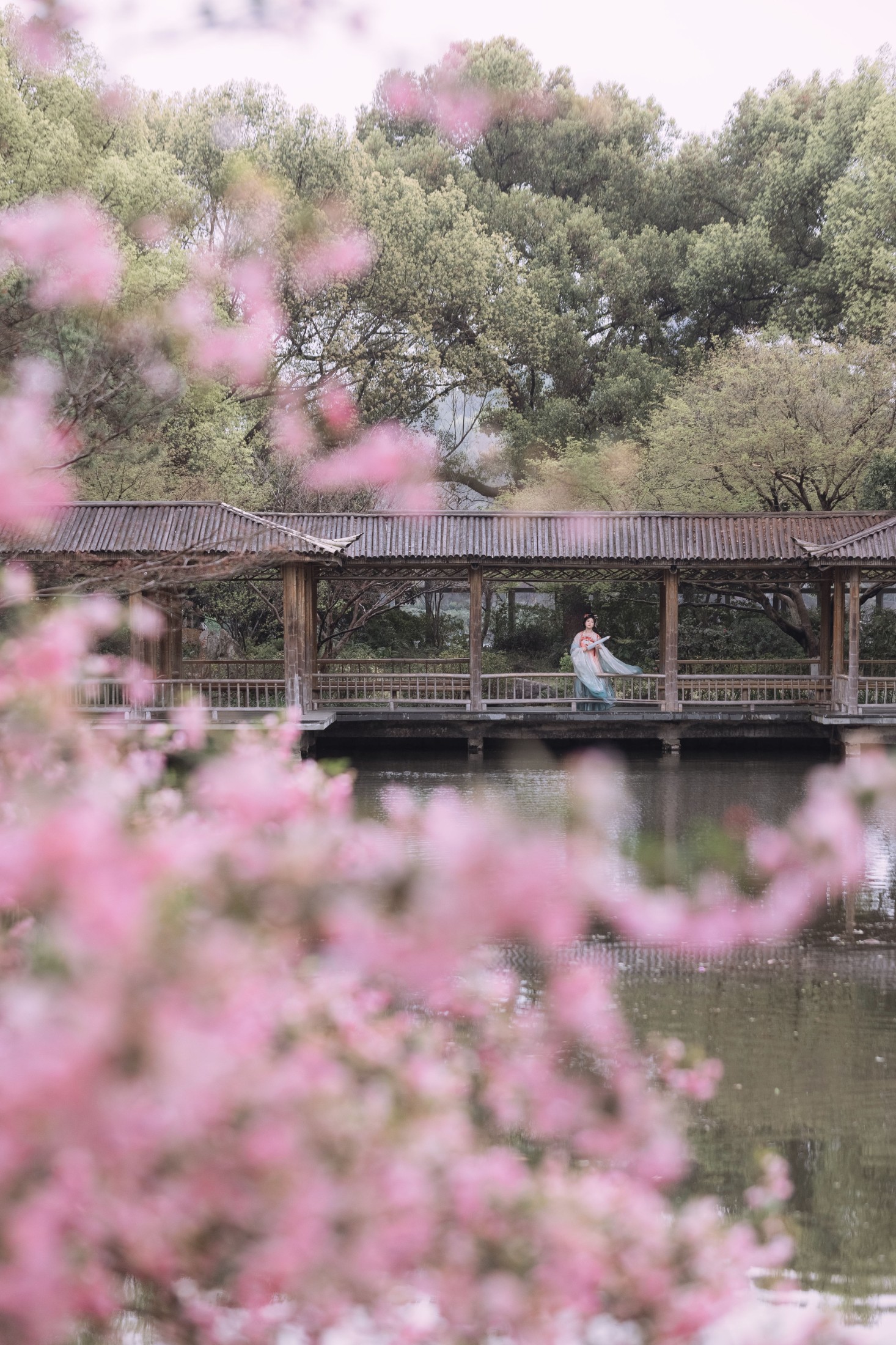 图片[2]-静若初夏 – 《海棠春色》[43P]-COS写真在线网