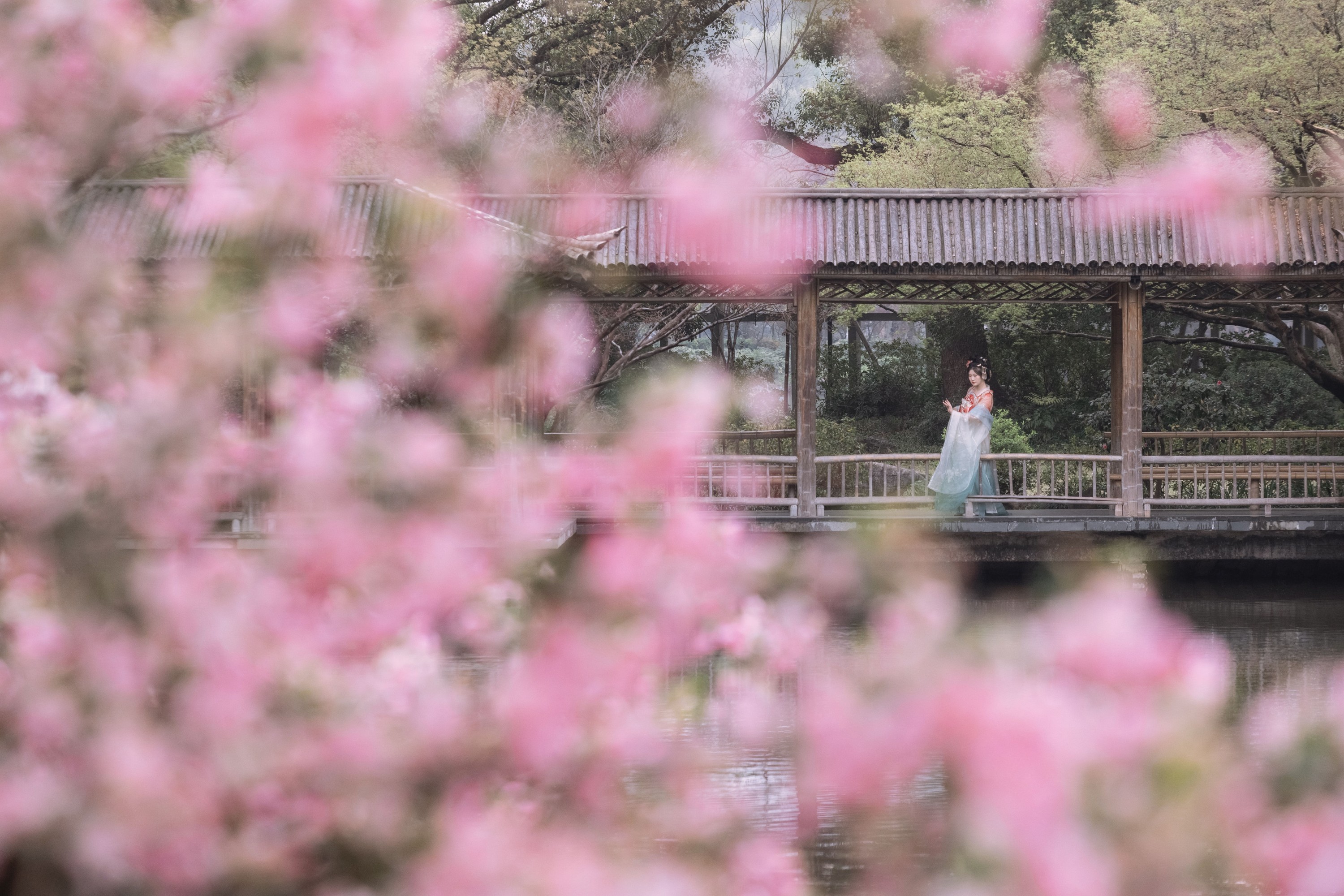 图片[3]-静若初夏 – 《海棠春色》[43P]-COS写真在线网
