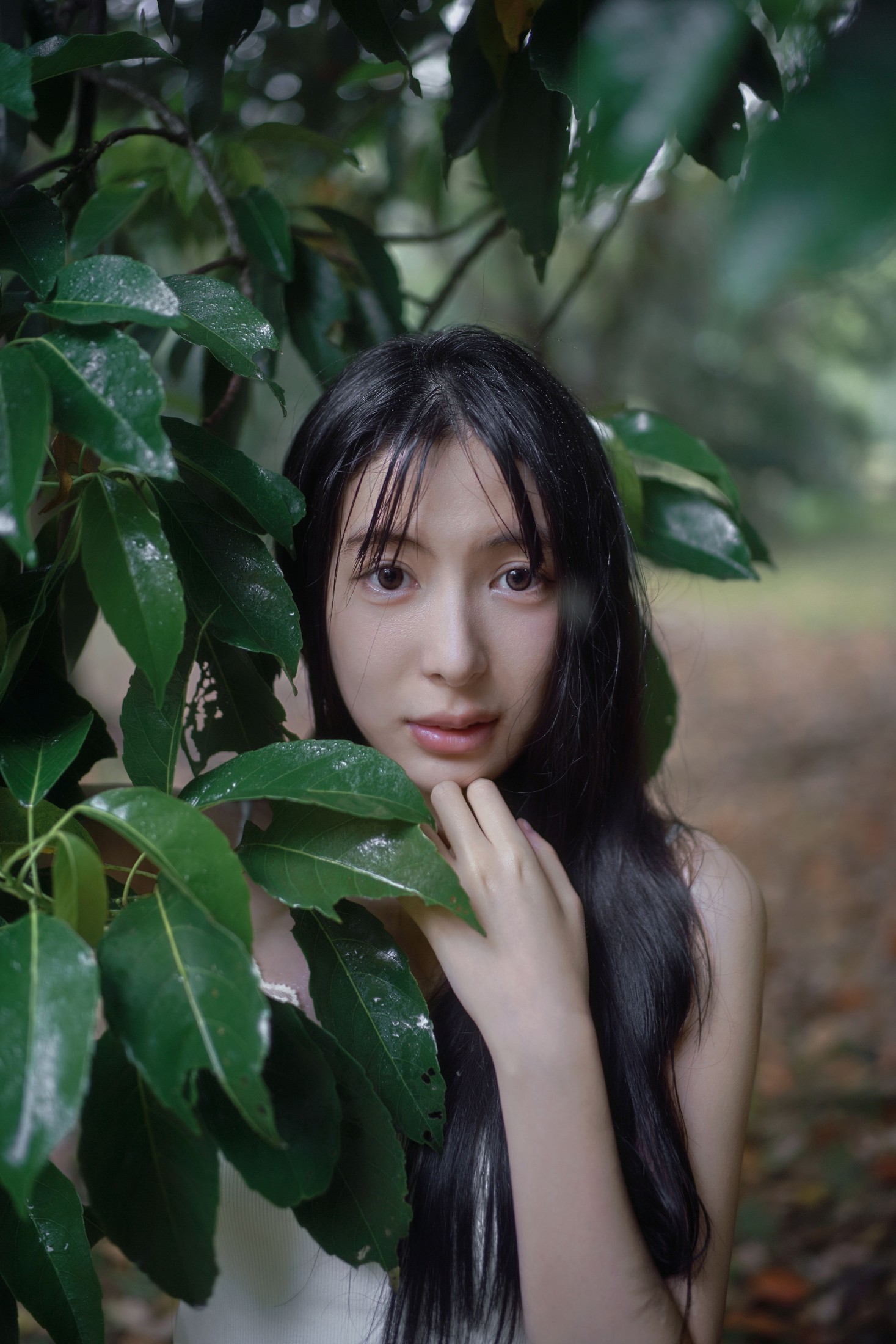图片[3]-0831 – 《雨林微雨・少女的湿漉漉童话》[36P]-COS写真在线网