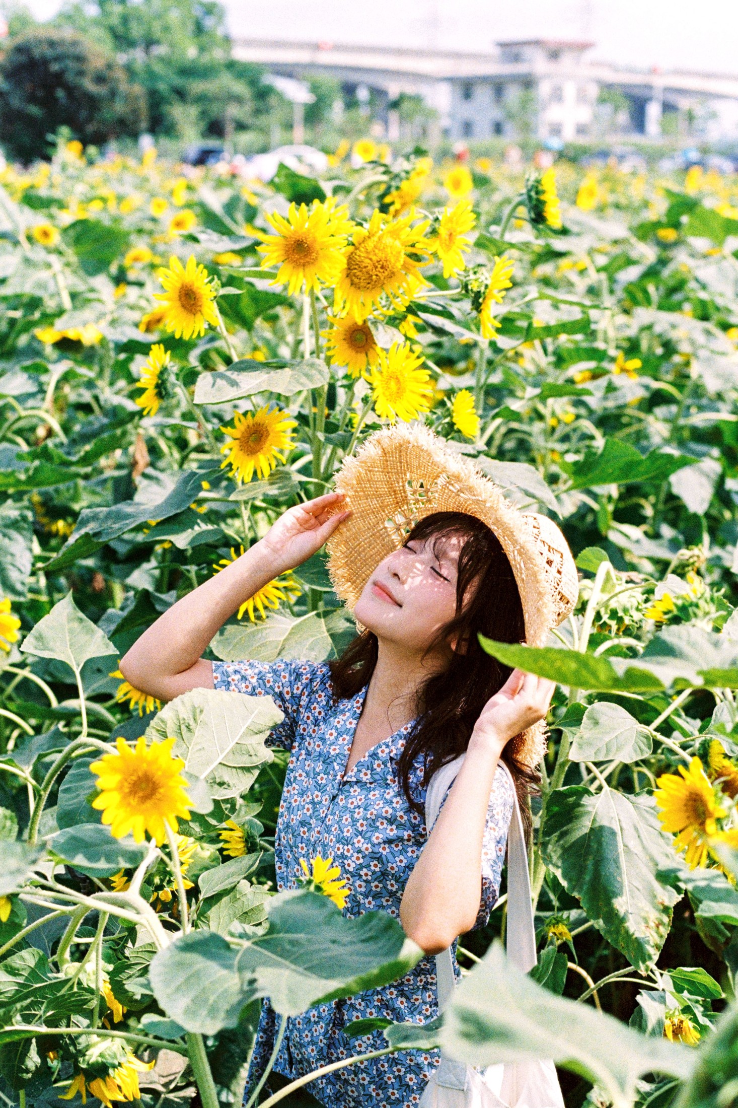 图片[4]-沐沐（约拍 – 《向日葵的花语》[18P]-COS写真在线网
